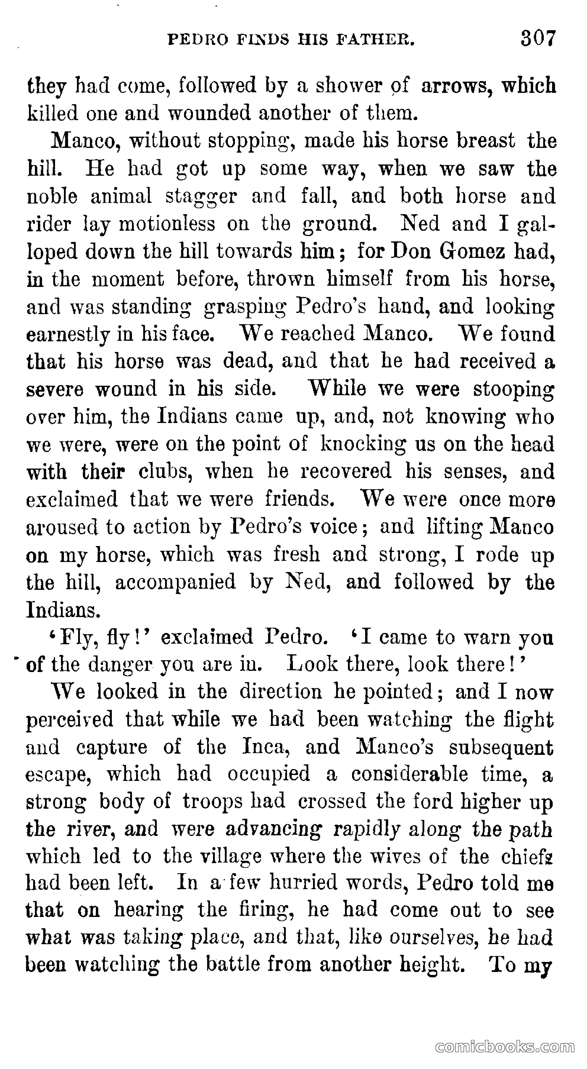 Manco; The Peruvian Chief — page 313 of 377