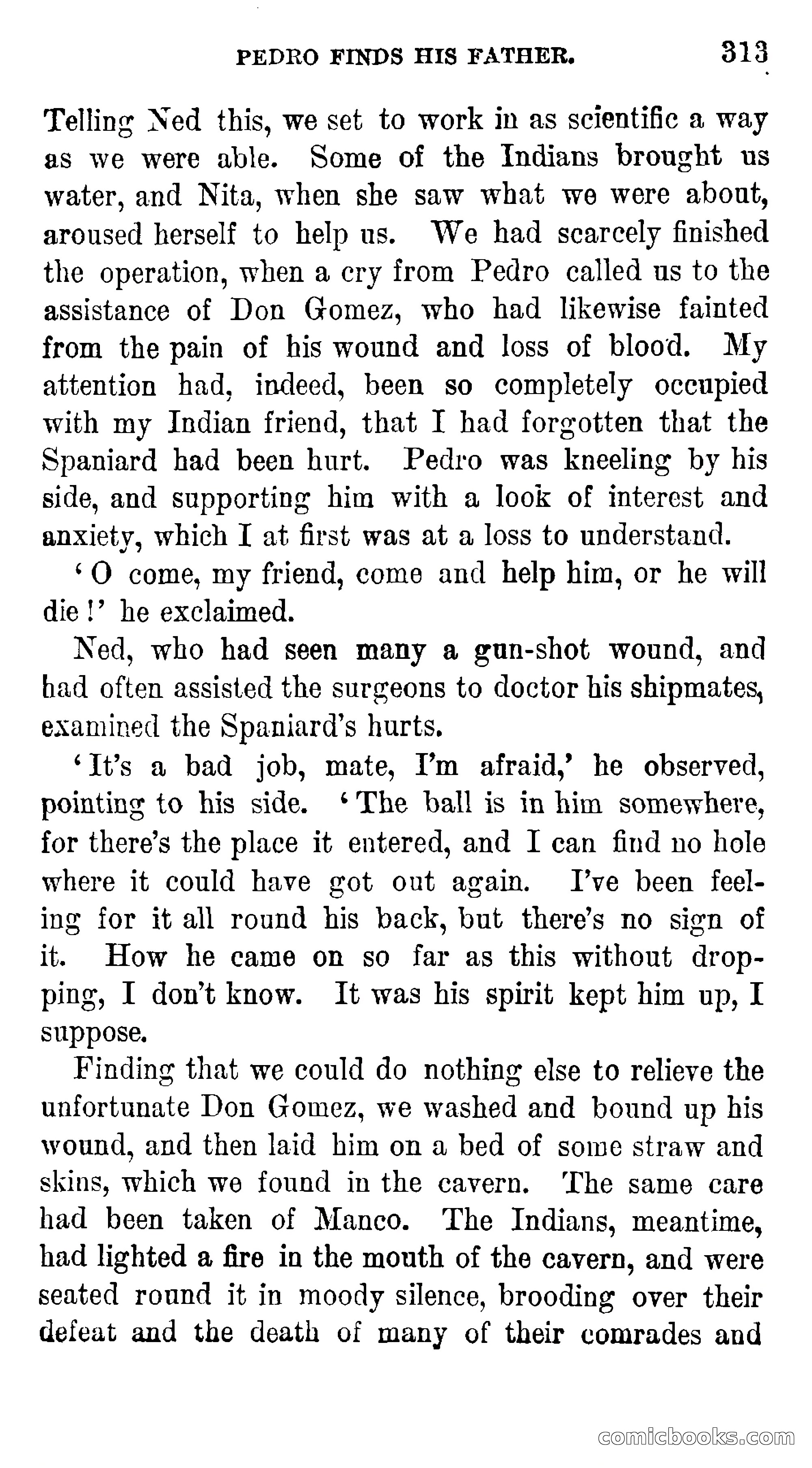Manco; The Peruvian Chief — page 319 of 377