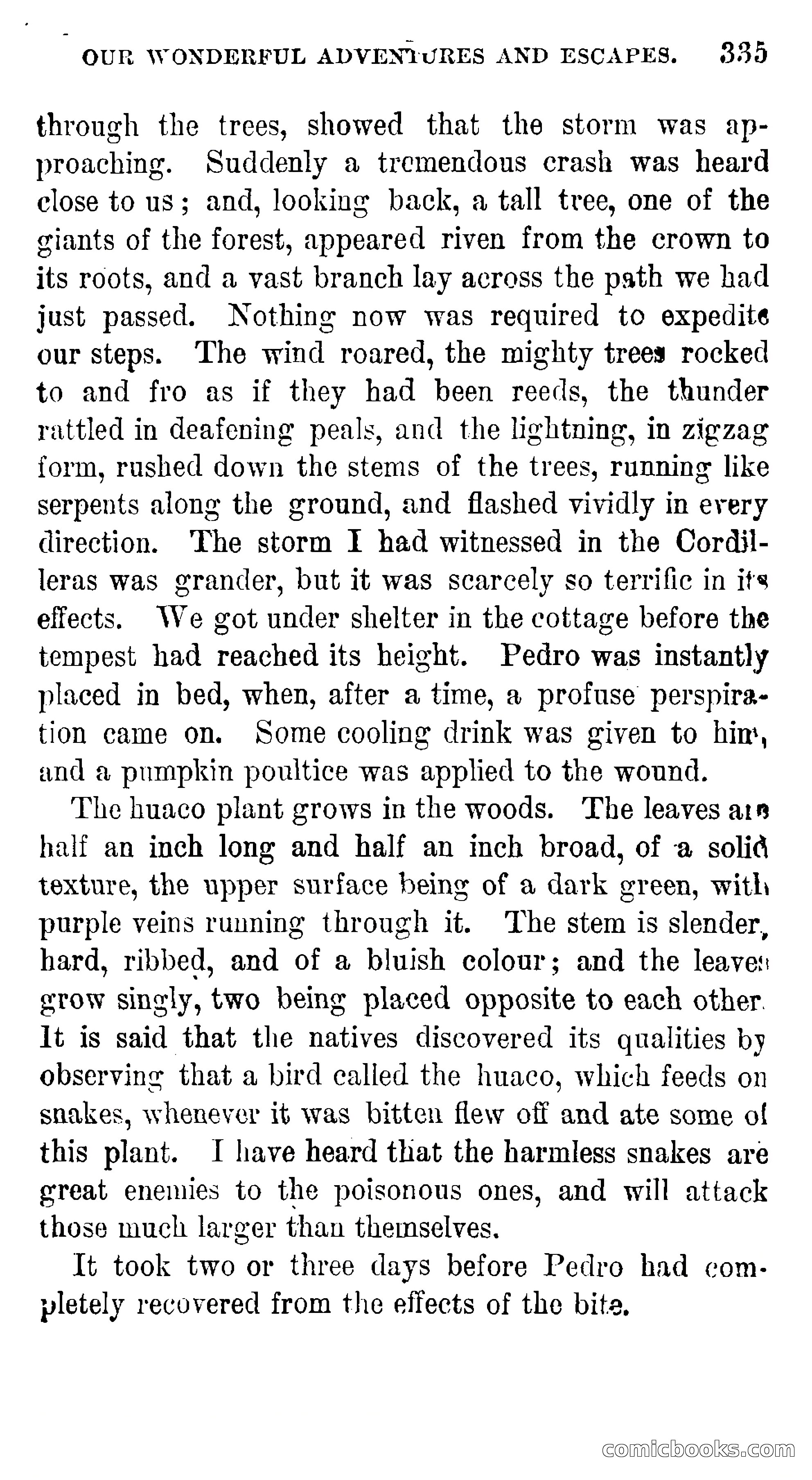 Manco; The Peruvian Chief — page 341 of 377