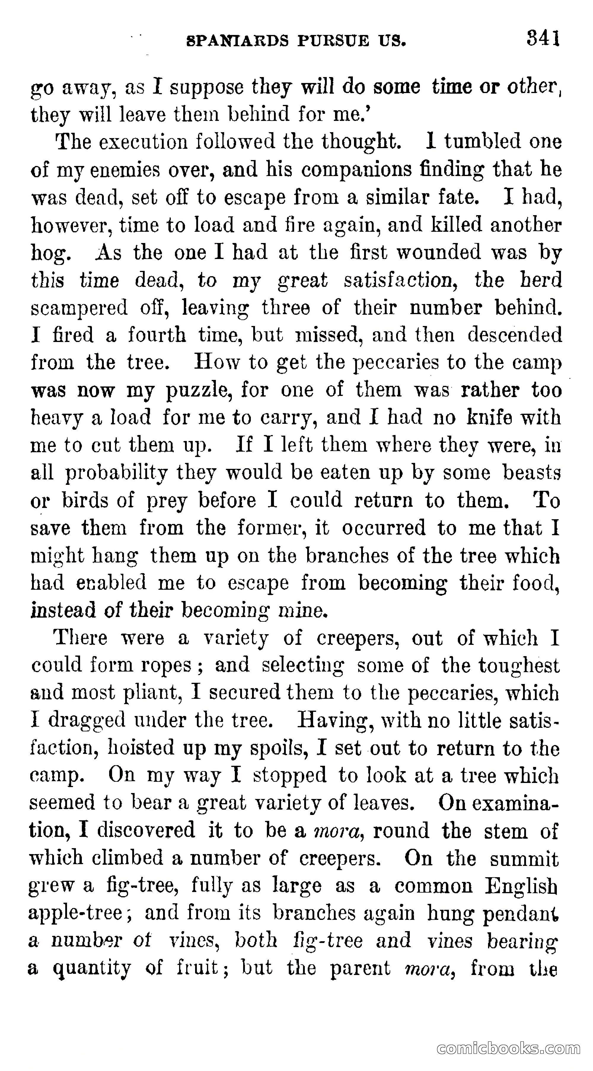 Manco; The Peruvian Chief — page 347 of 377
