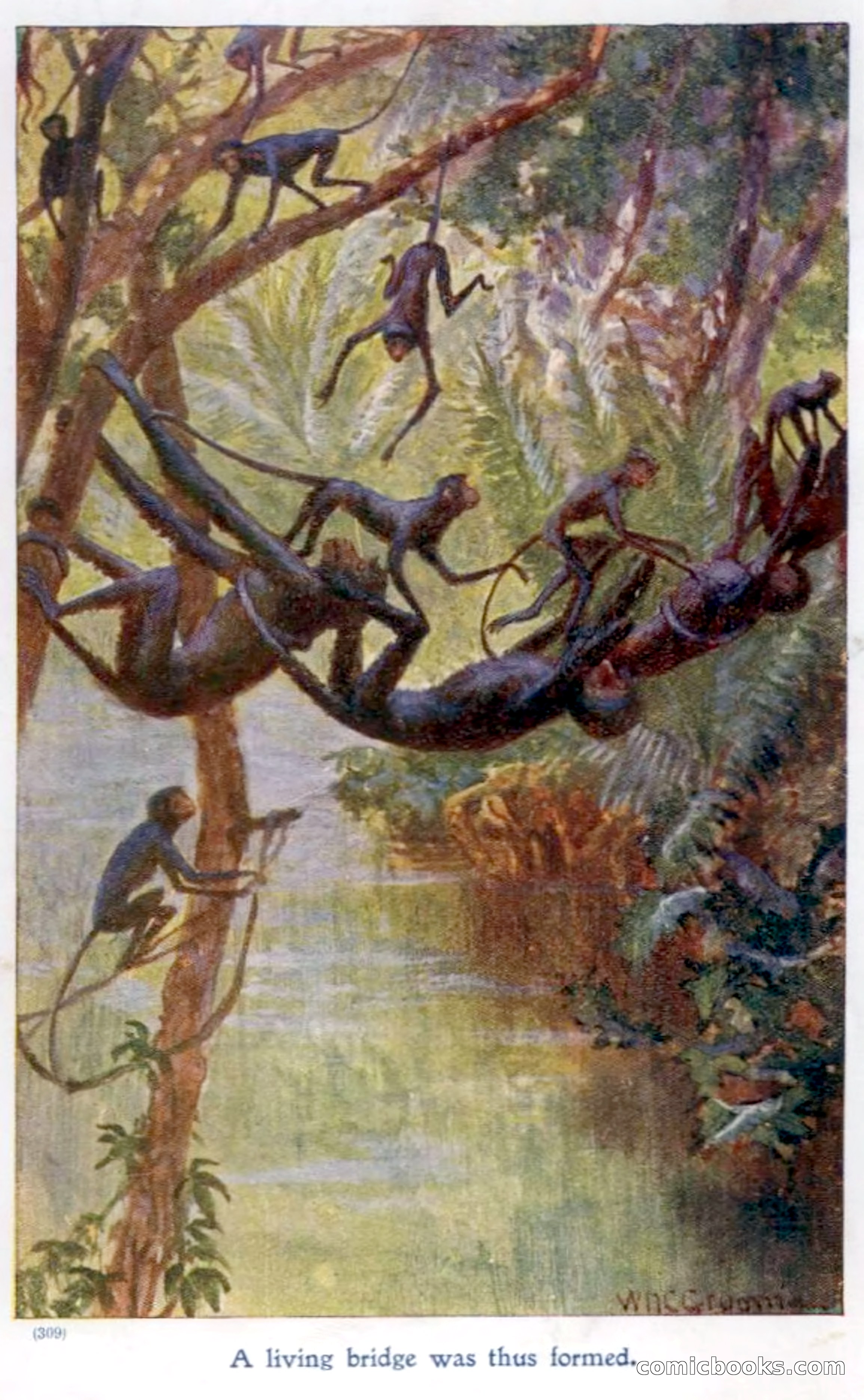 On the Banks of the Amazon — page 5 of 400