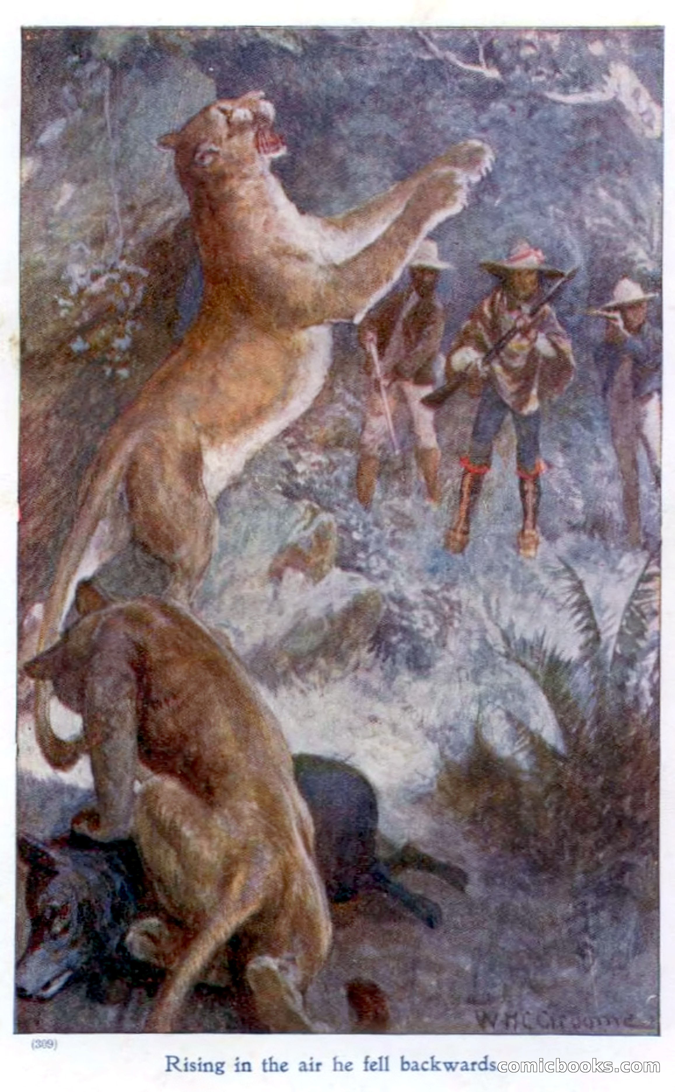 On the Banks of the Amazon — page 7 of 400