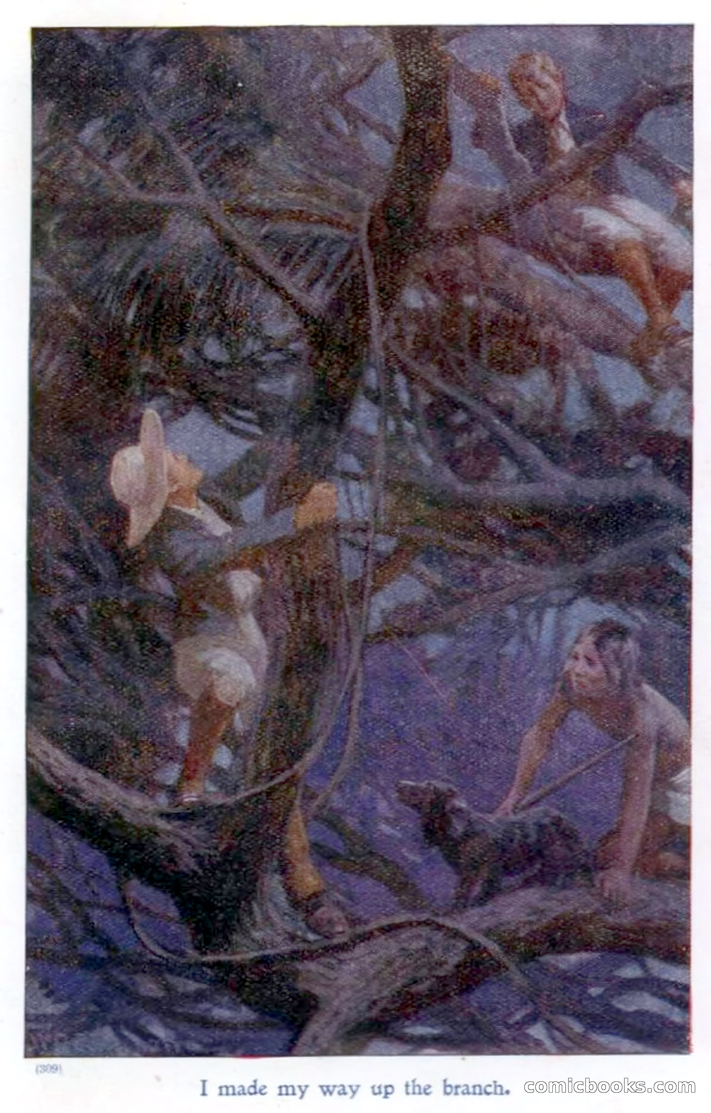 On the Banks of the Amazon — page 8 of 400