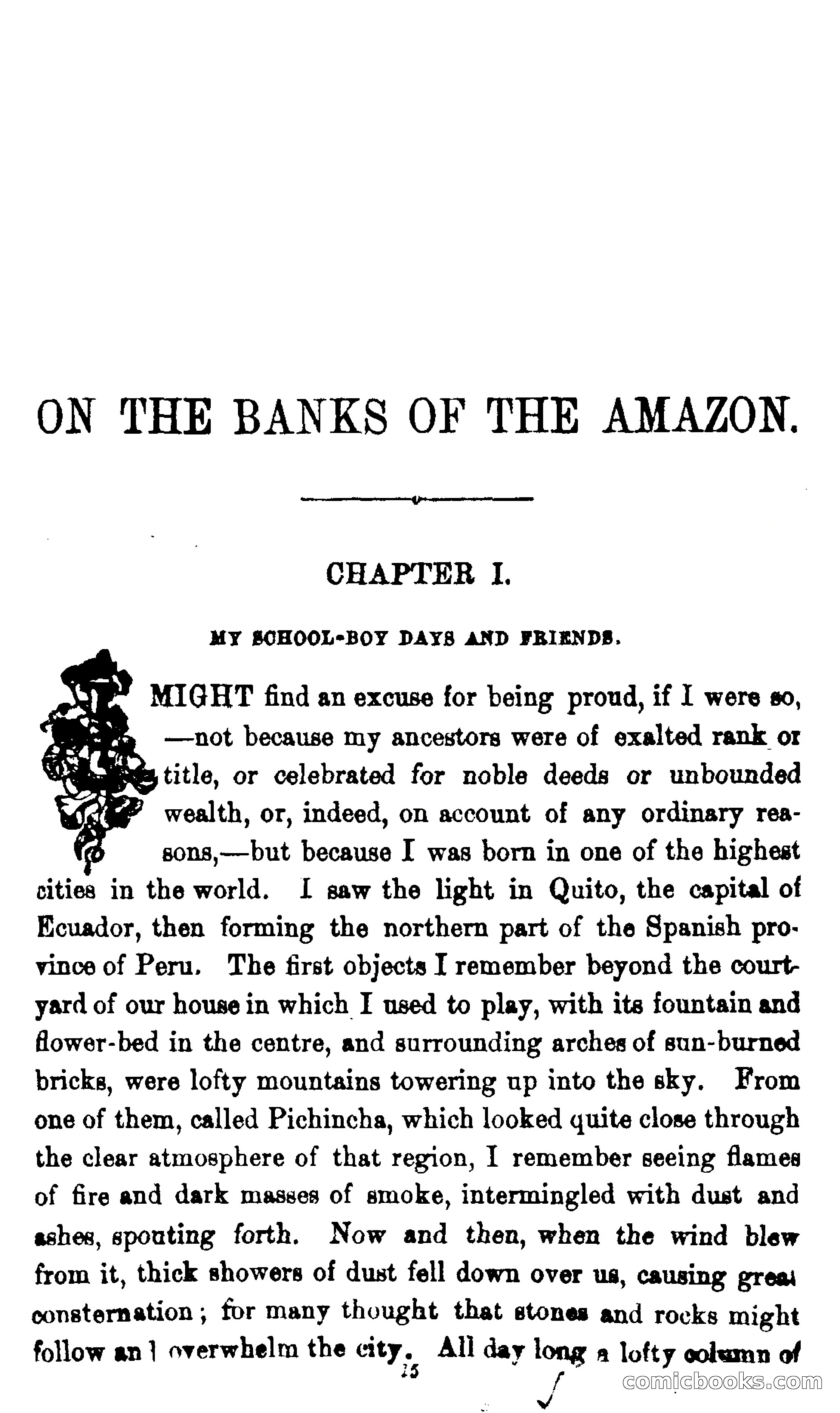 On the Banks of the Amazon — page 9 of 400