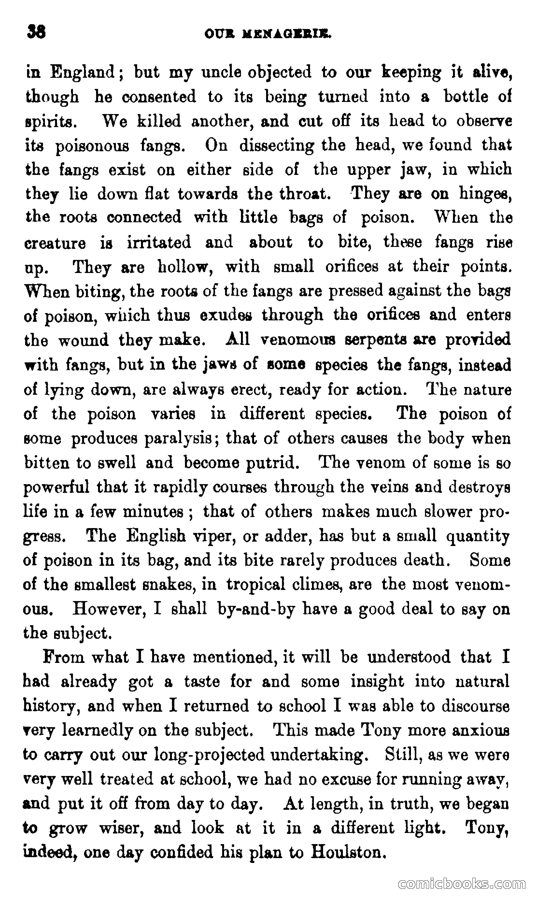 On the Banks of the Amazon — page 32 of 400