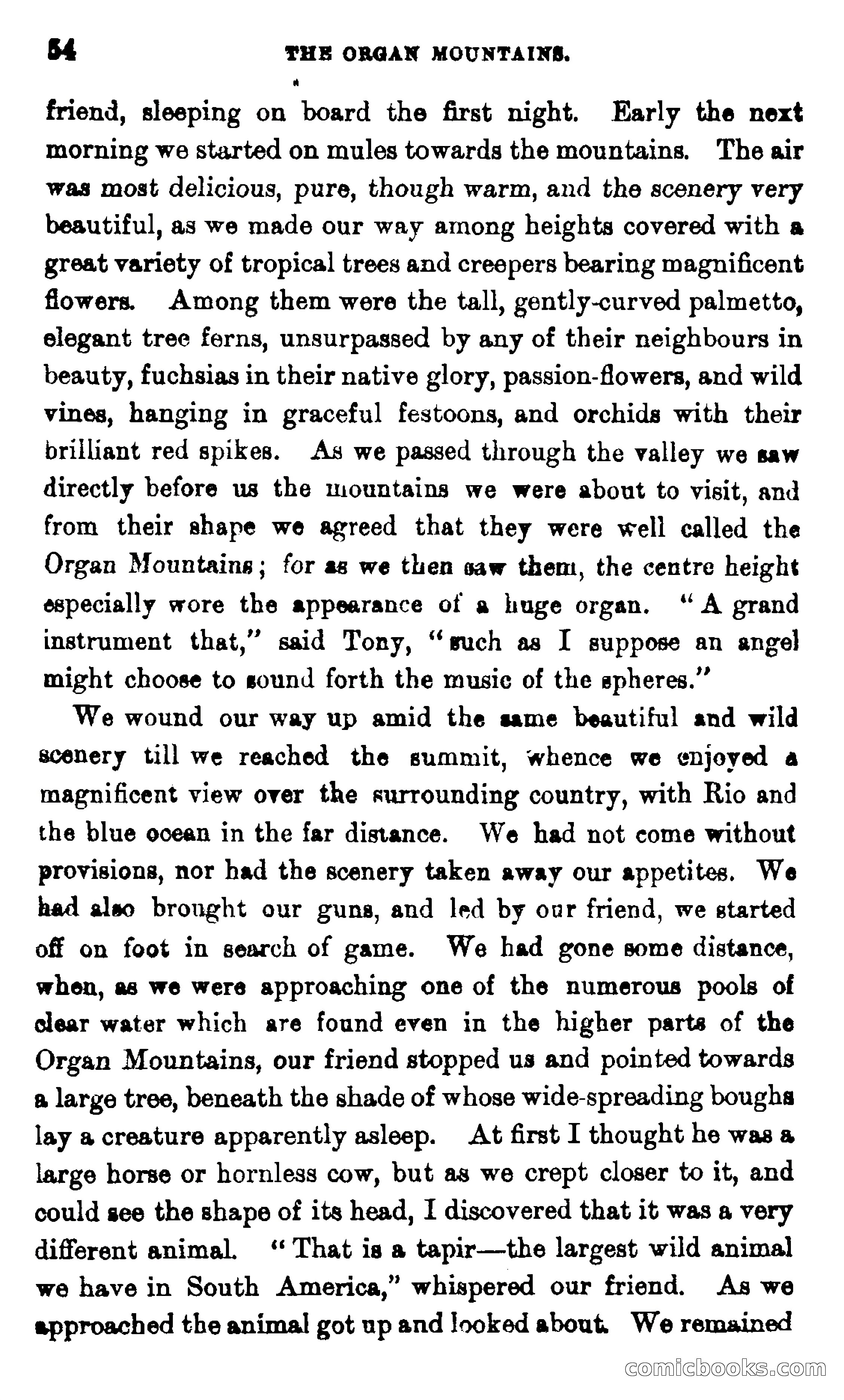 On the Banks of the Amazon — page 48 of 400