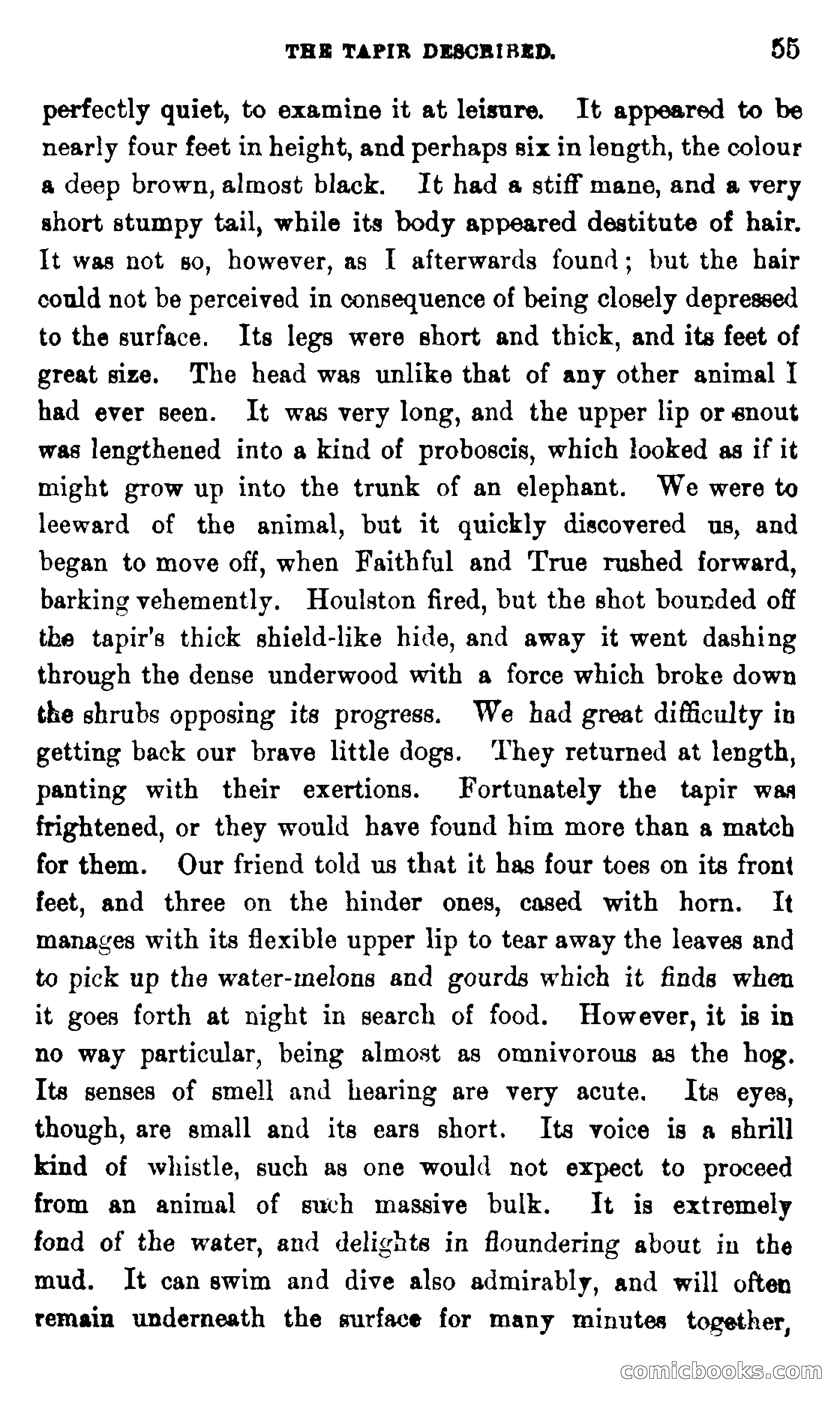 On the Banks of the Amazon — page 49 of 400