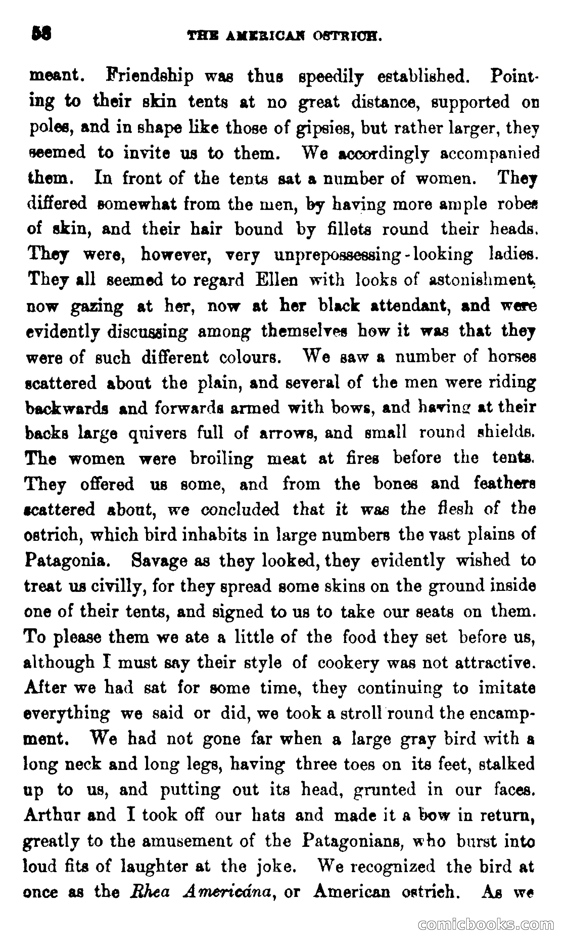 On the Banks of the Amazon — page 52 of 400