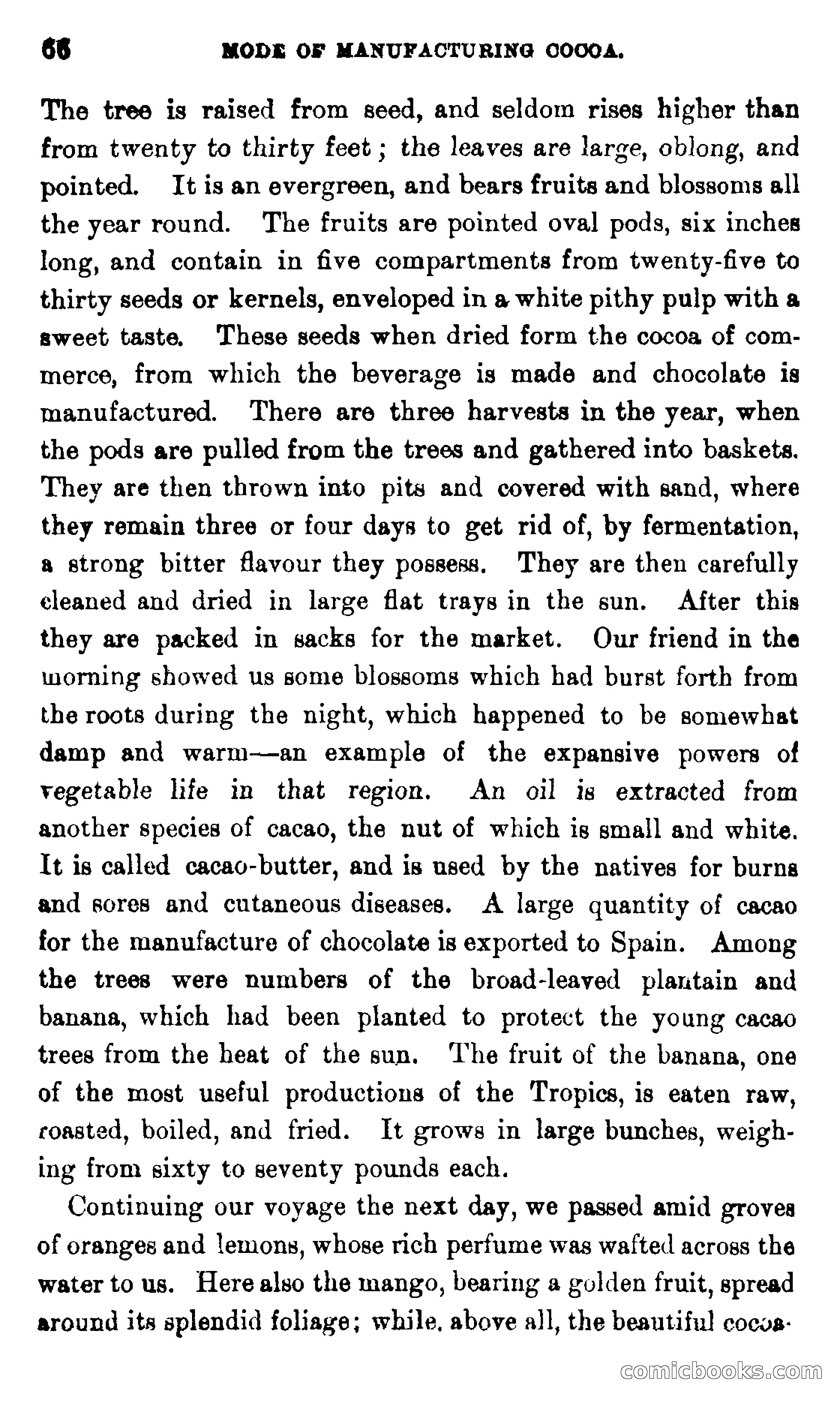On the Banks of the Amazon — page 60 of 400