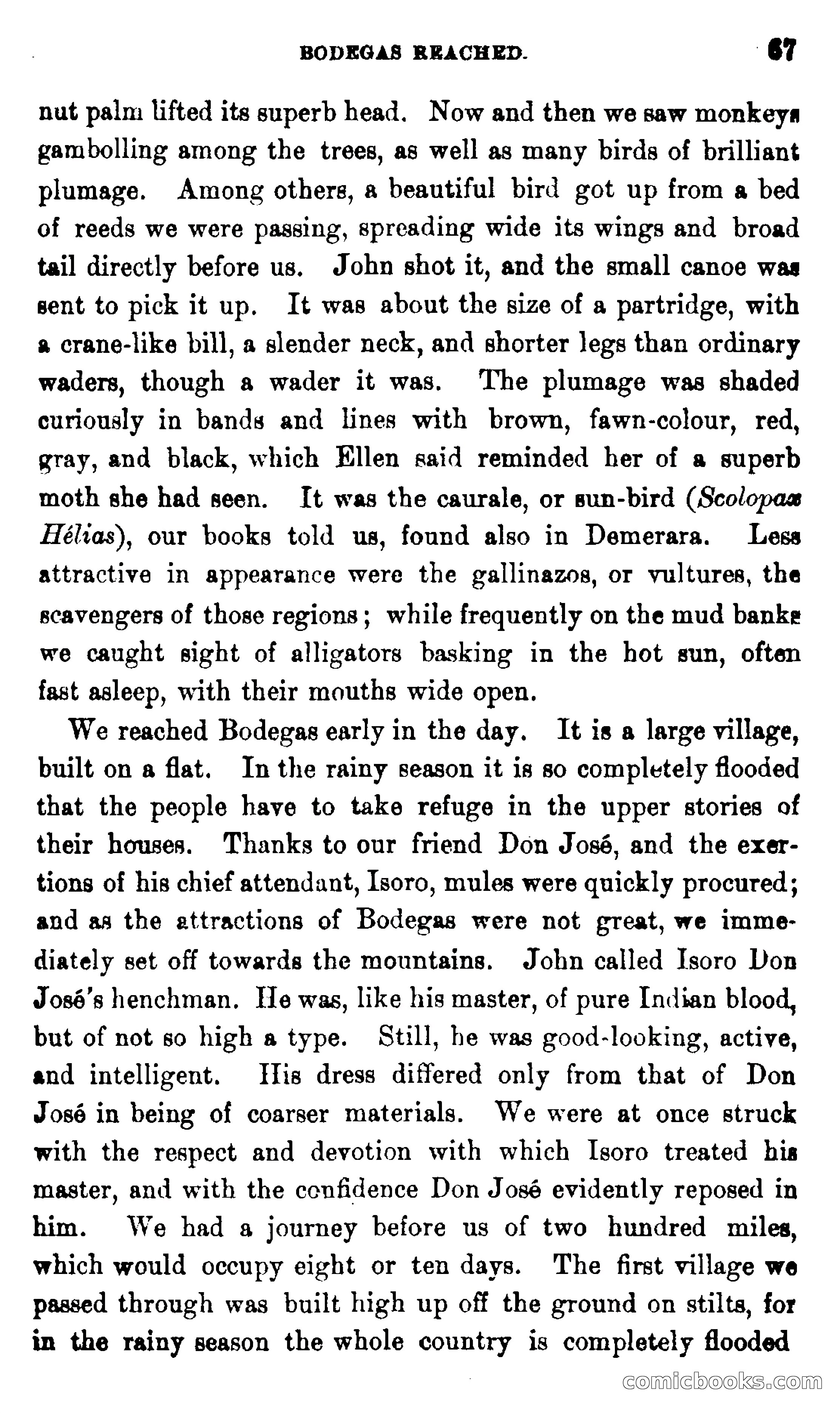 On the Banks of the Amazon — page 61 of 400