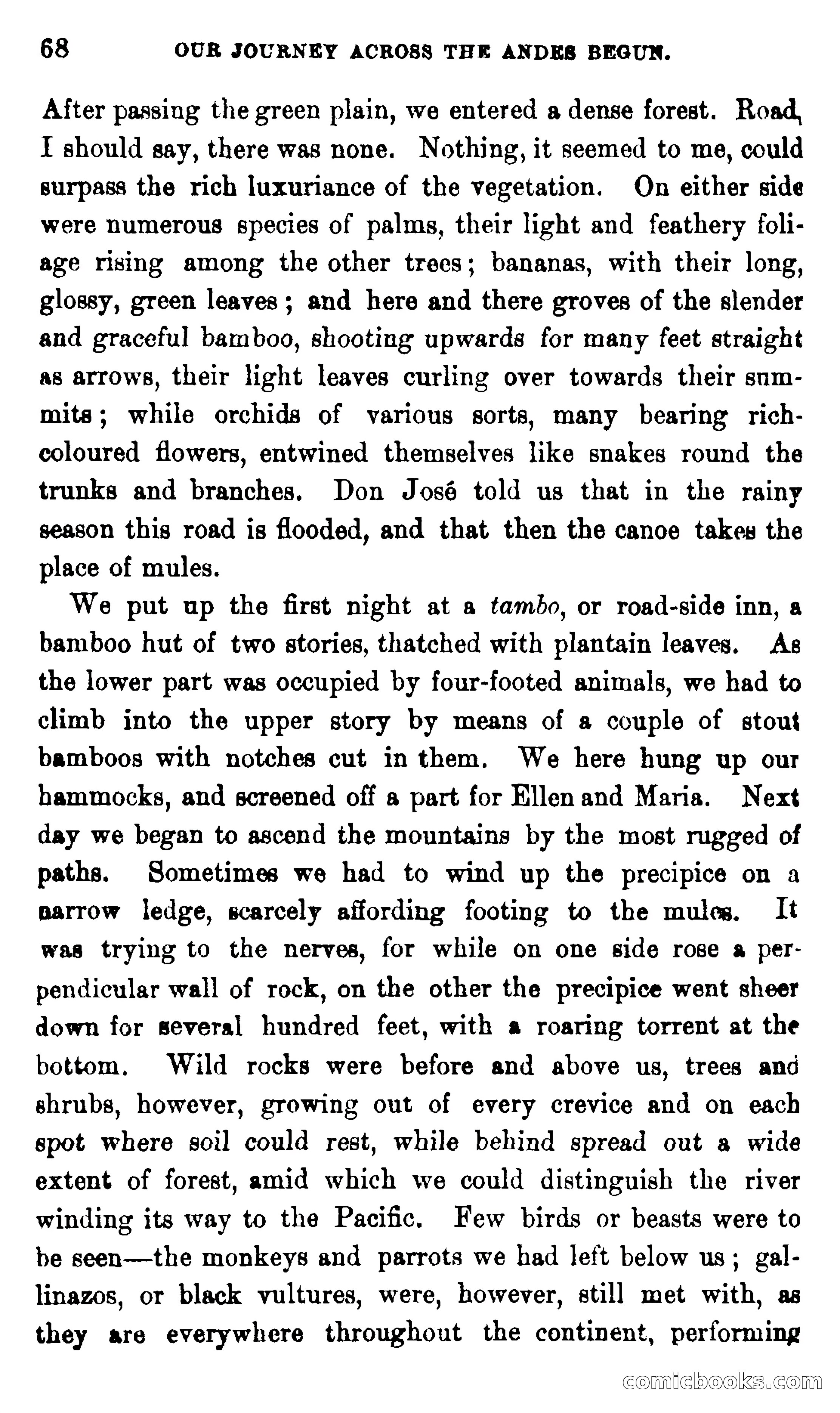 On the Banks of the Amazon — page 62 of 400