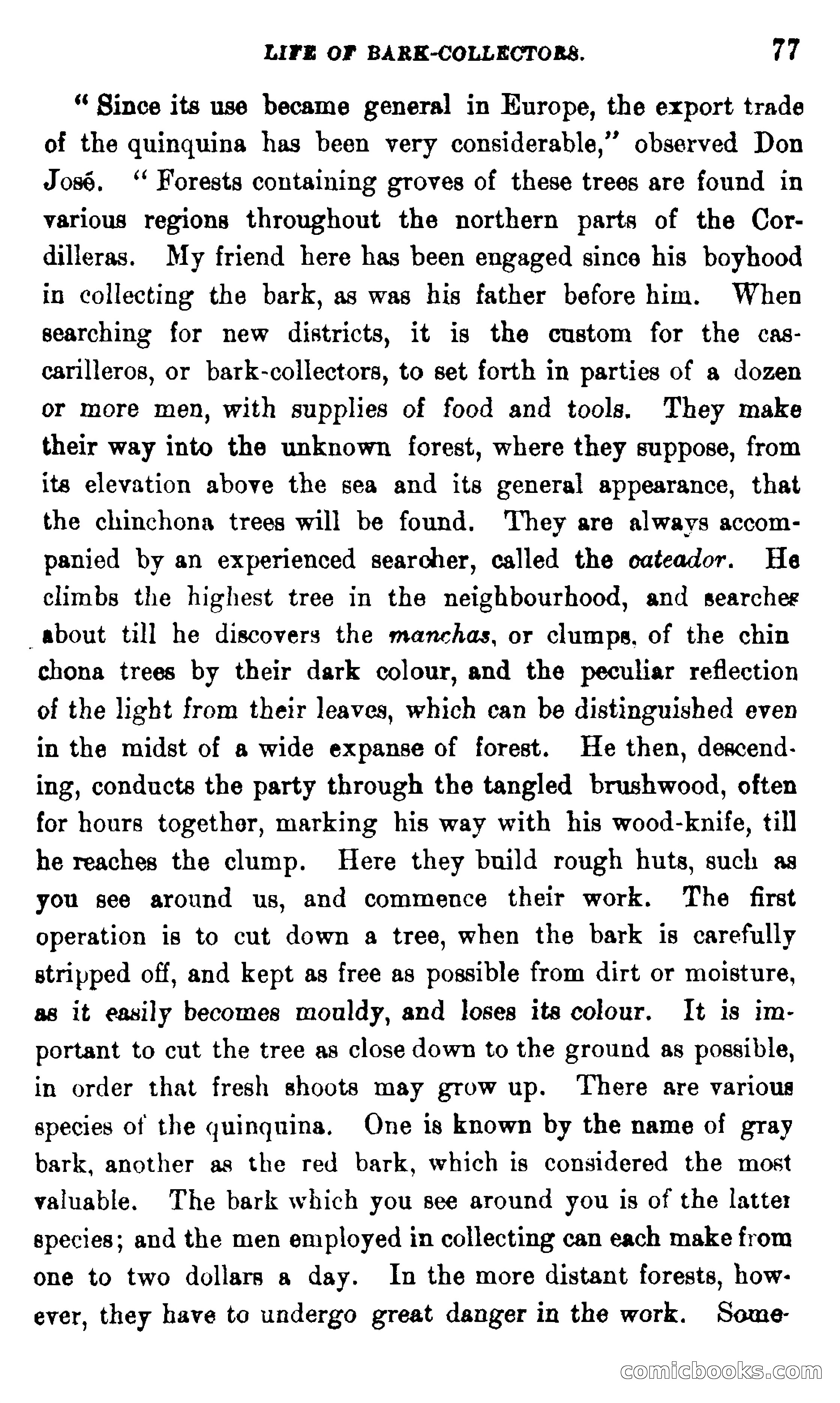 On the Banks of the Amazon — page 71 of 400