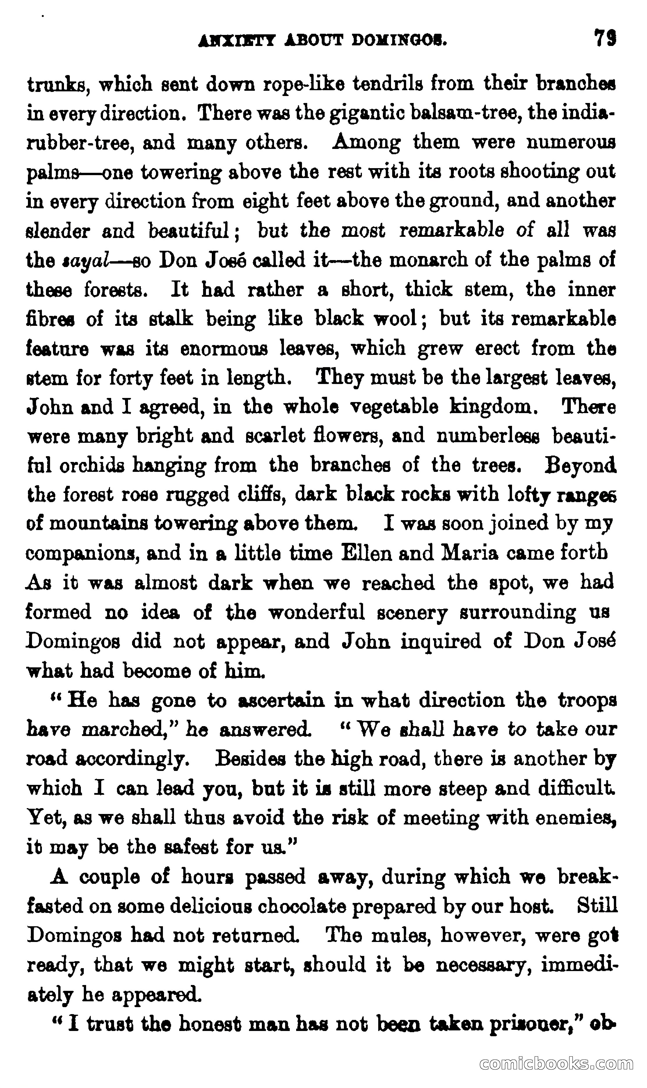 On the Banks of the Amazon — page 73 of 400