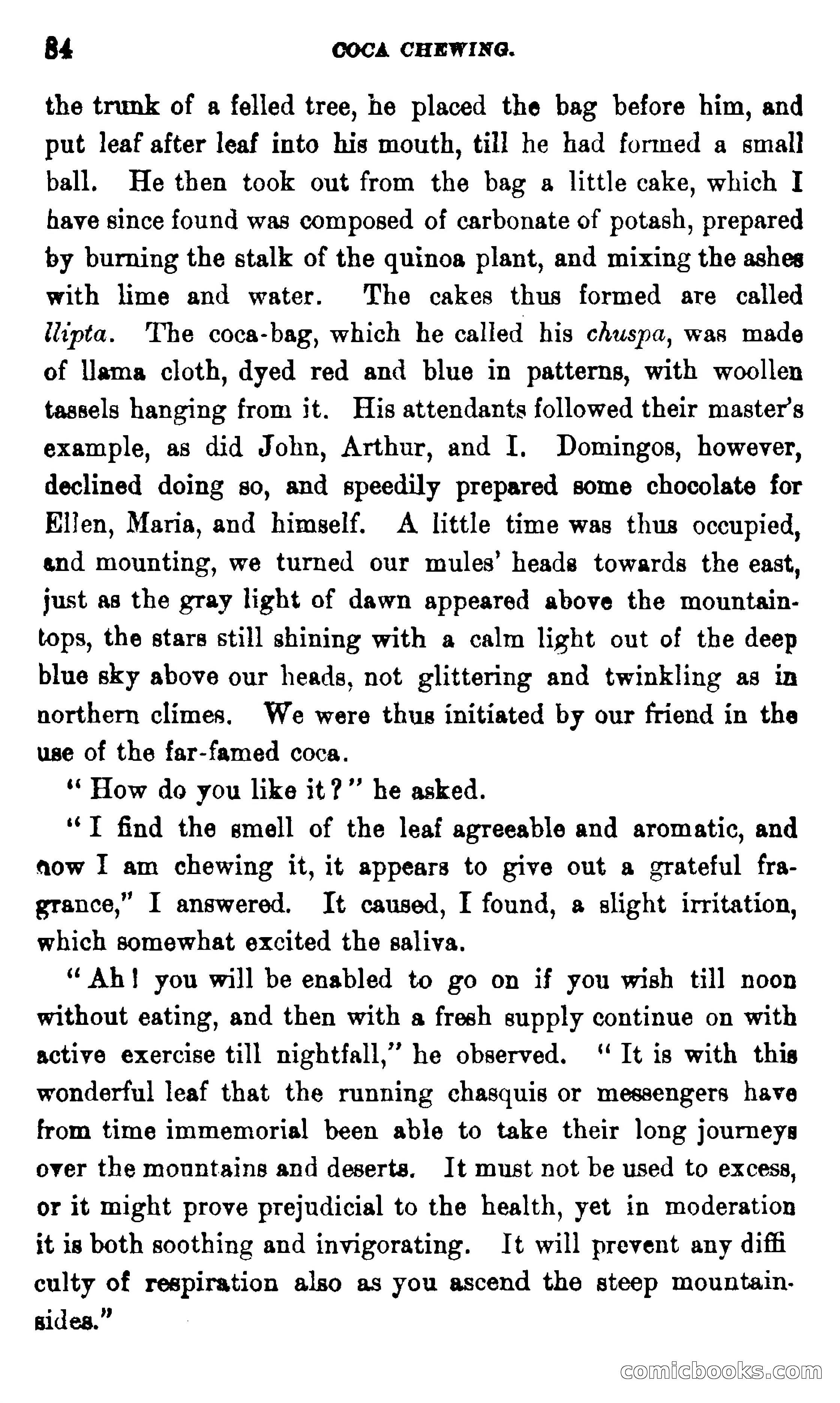 On the Banks of the Amazon — page 78 of 400