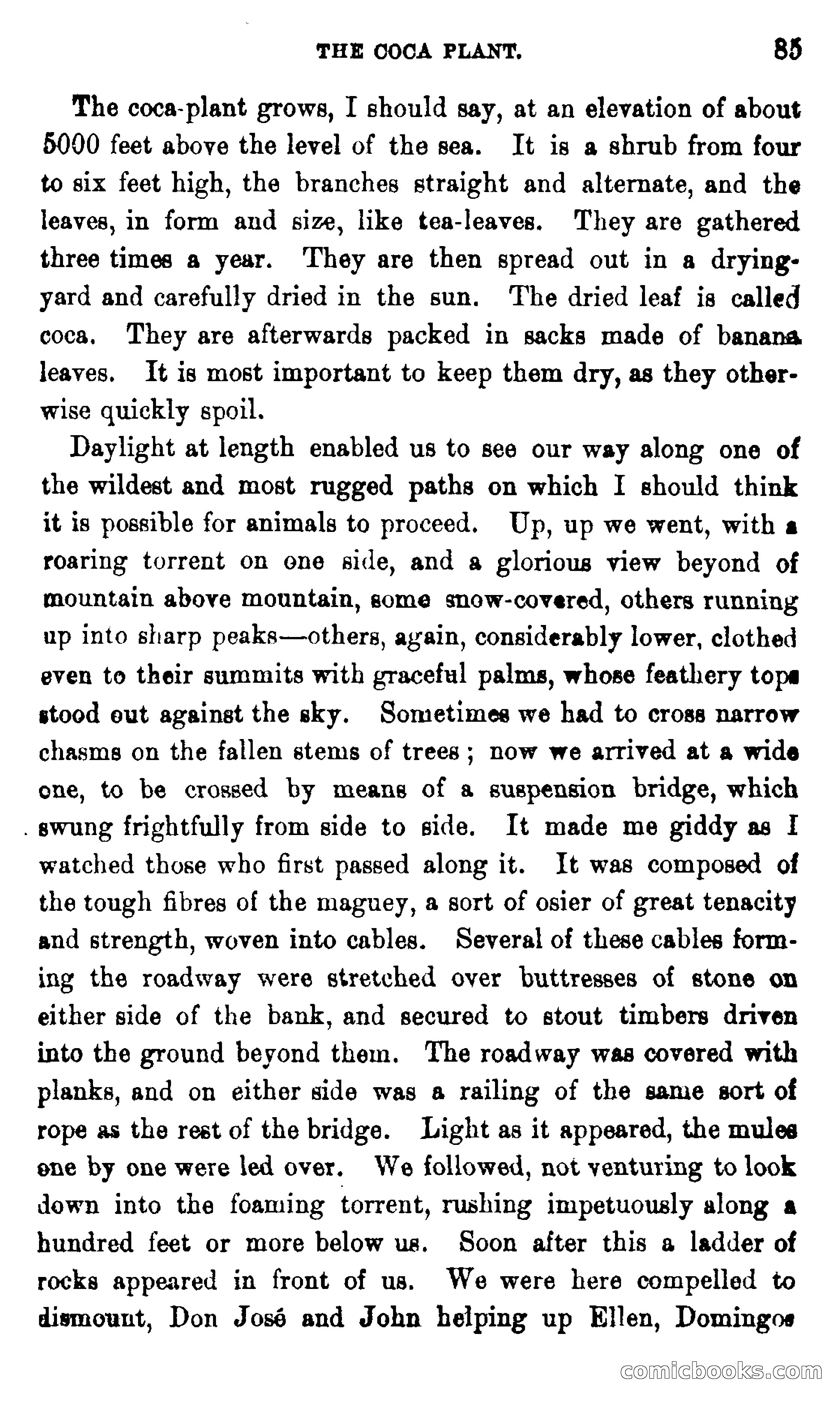 On the Banks of the Amazon — page 79 of 400