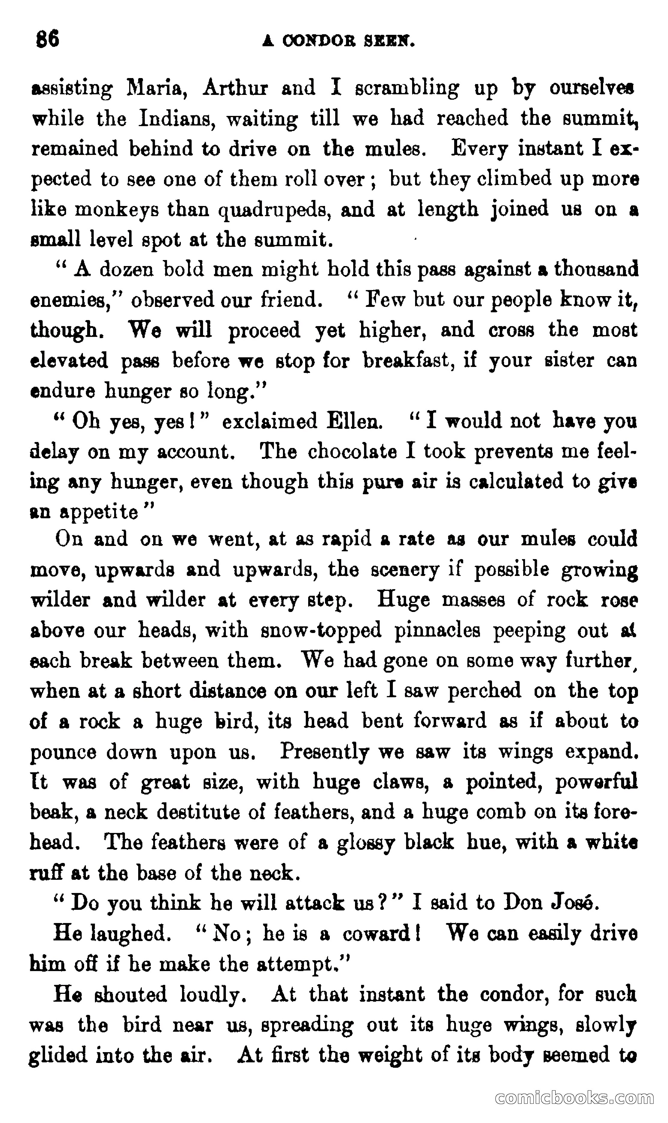 On the Banks of the Amazon — page 80 of 400