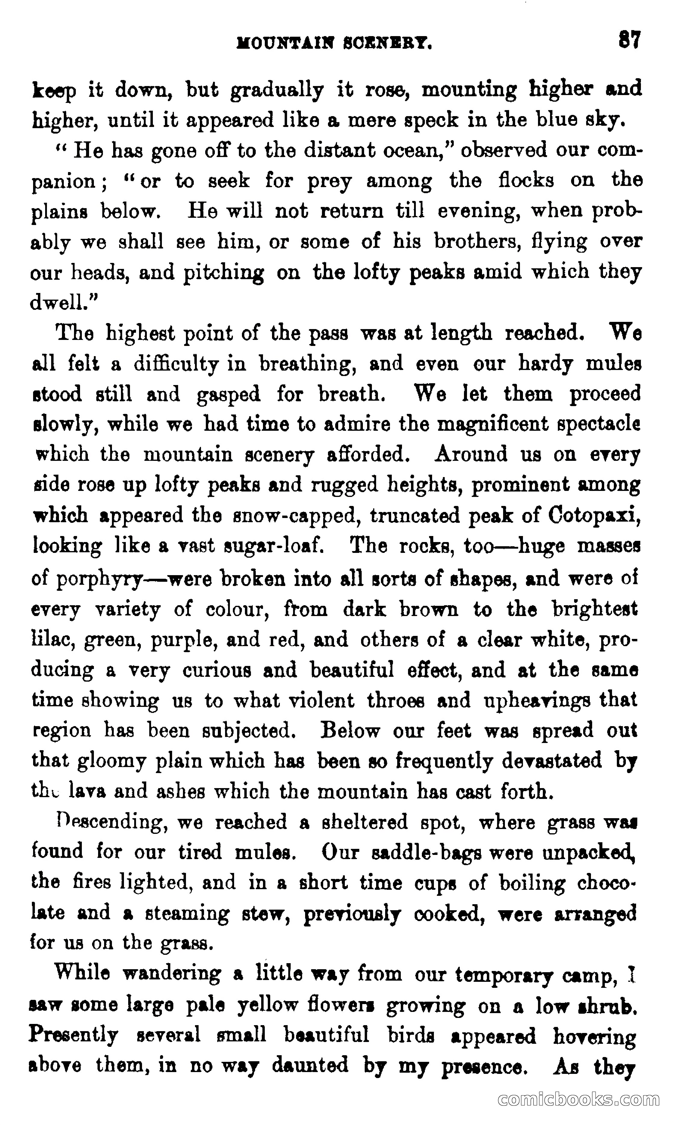 On the Banks of the Amazon — page 81 of 400