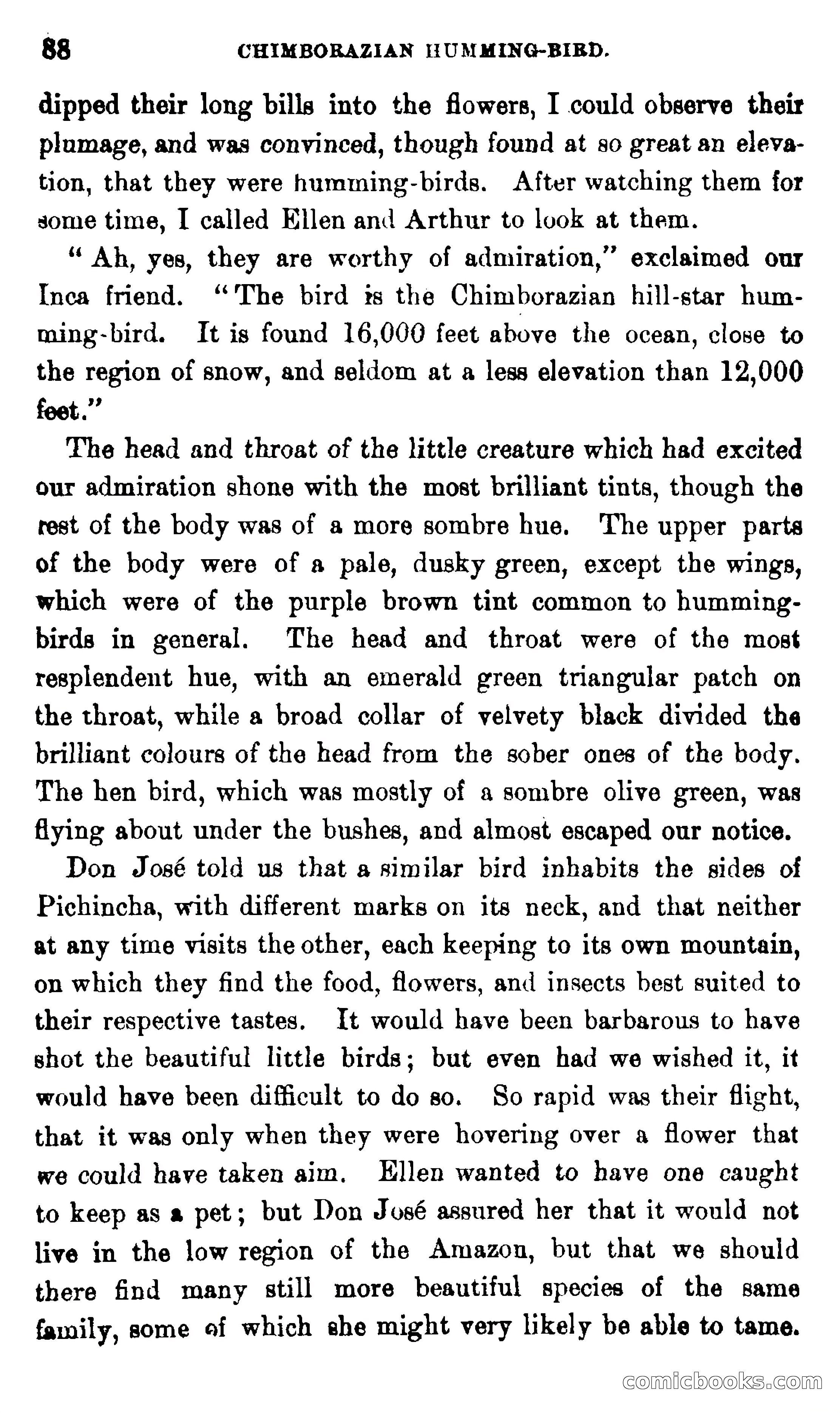 On the Banks of the Amazon — page 82 of 400