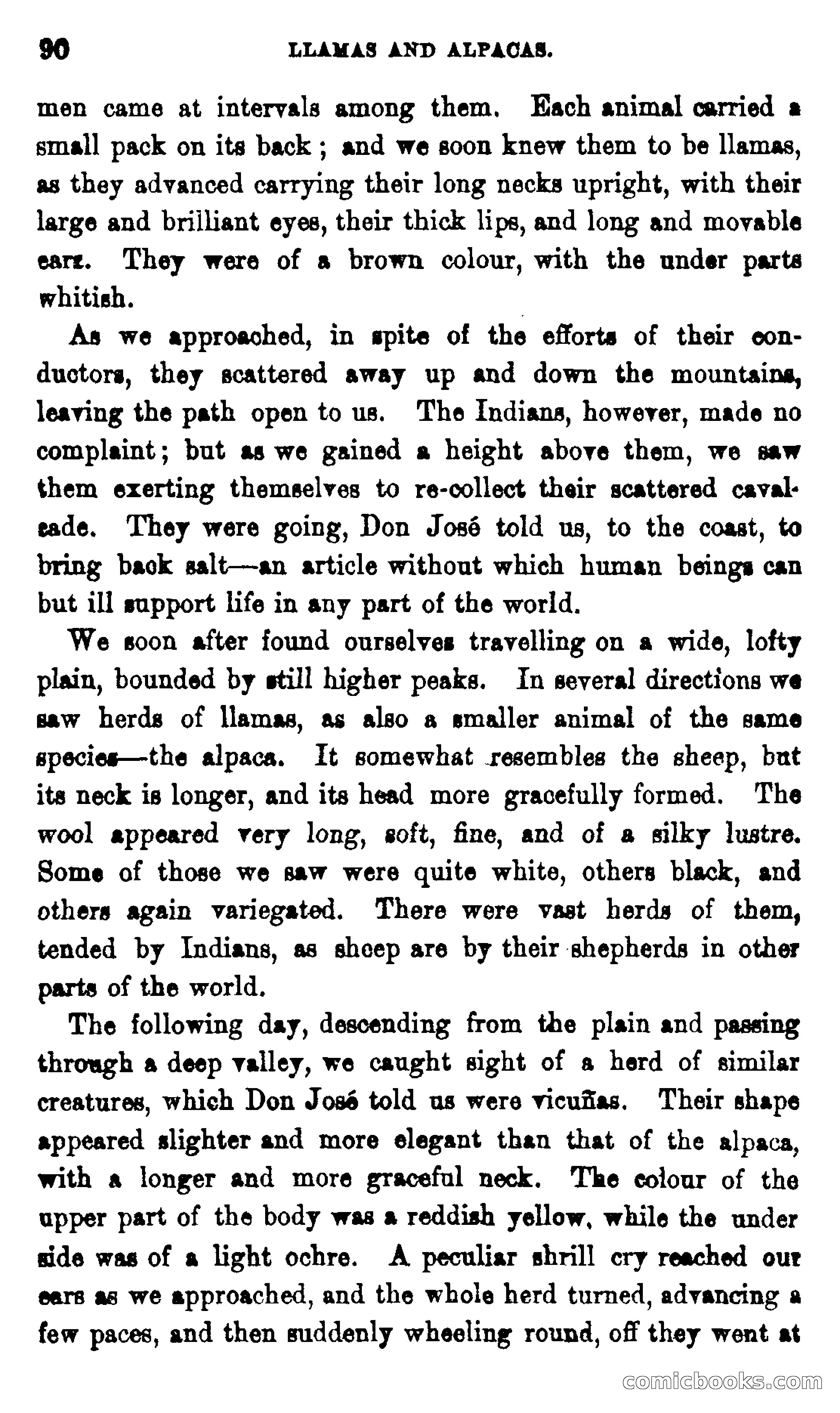 On the Banks of the Amazon — page 84 of 400
