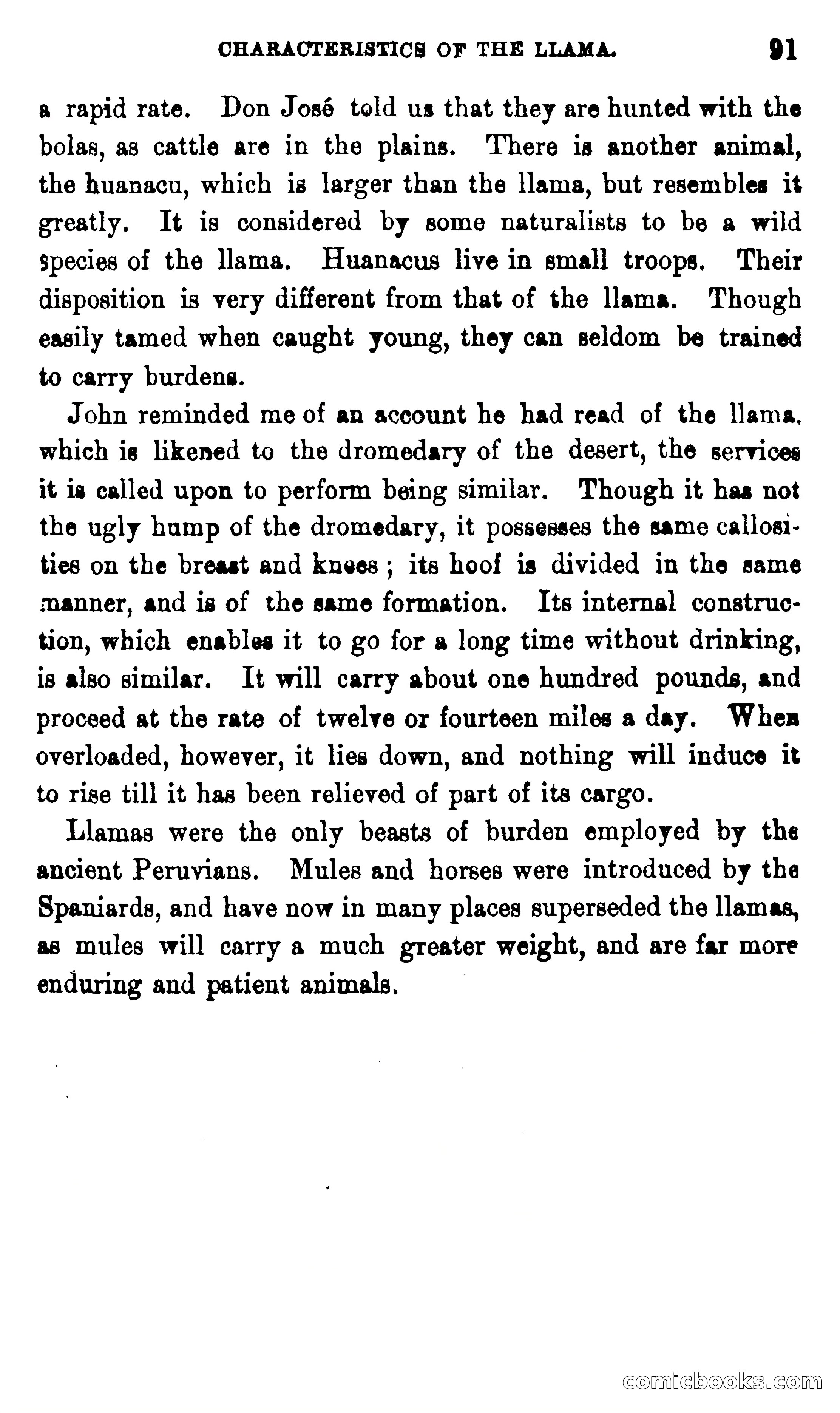 On the Banks of the Amazon — page 85 of 400