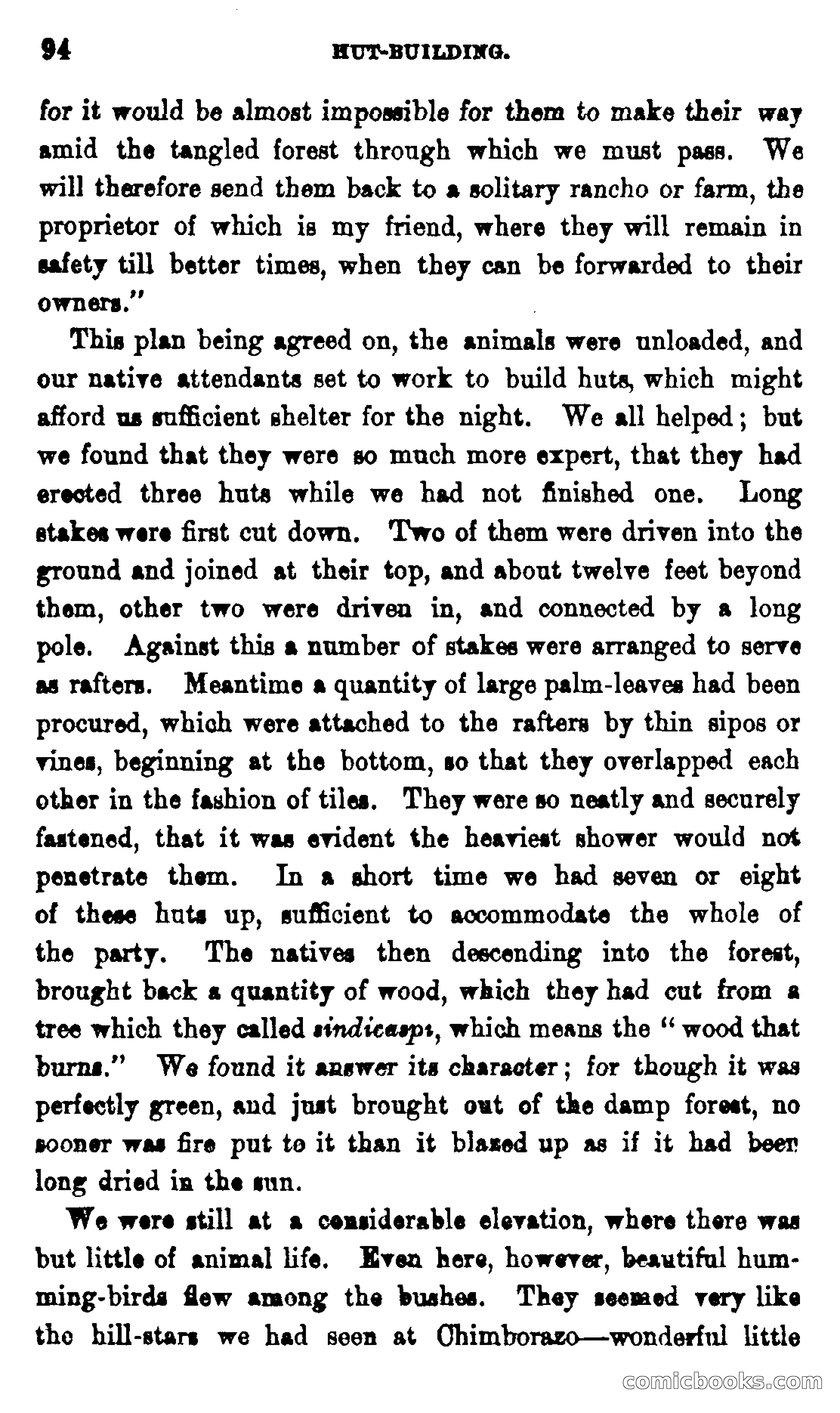 On the Banks of the Amazon — page 88 of 400