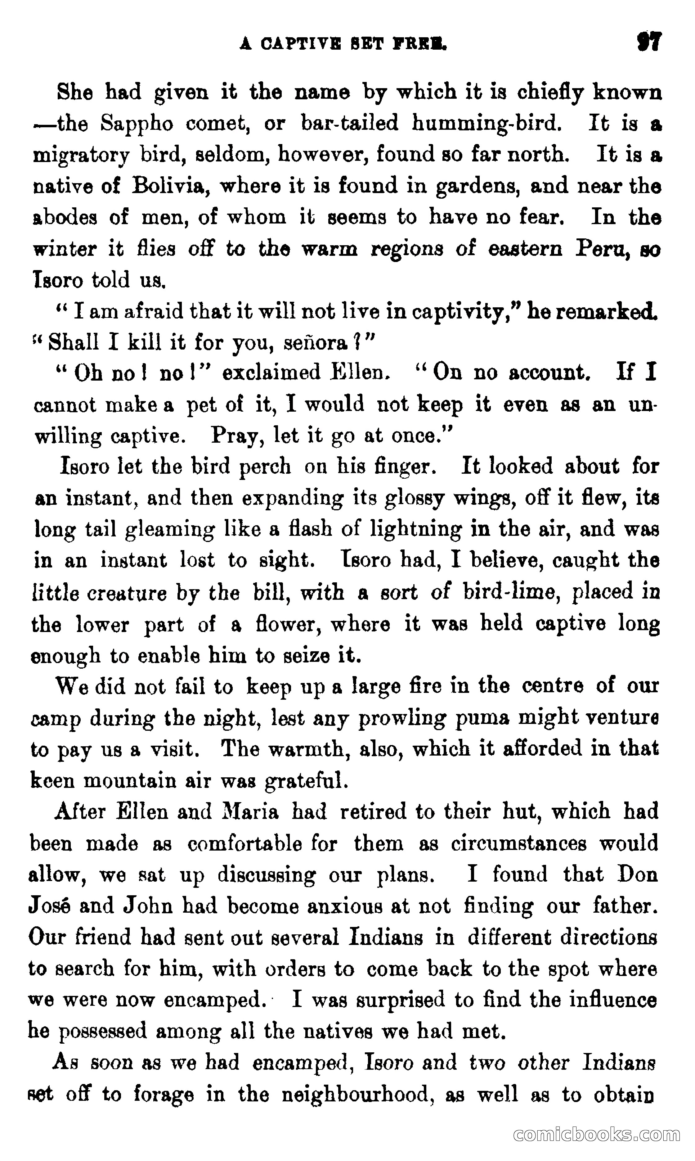 On the Banks of the Amazon — page 91 of 400