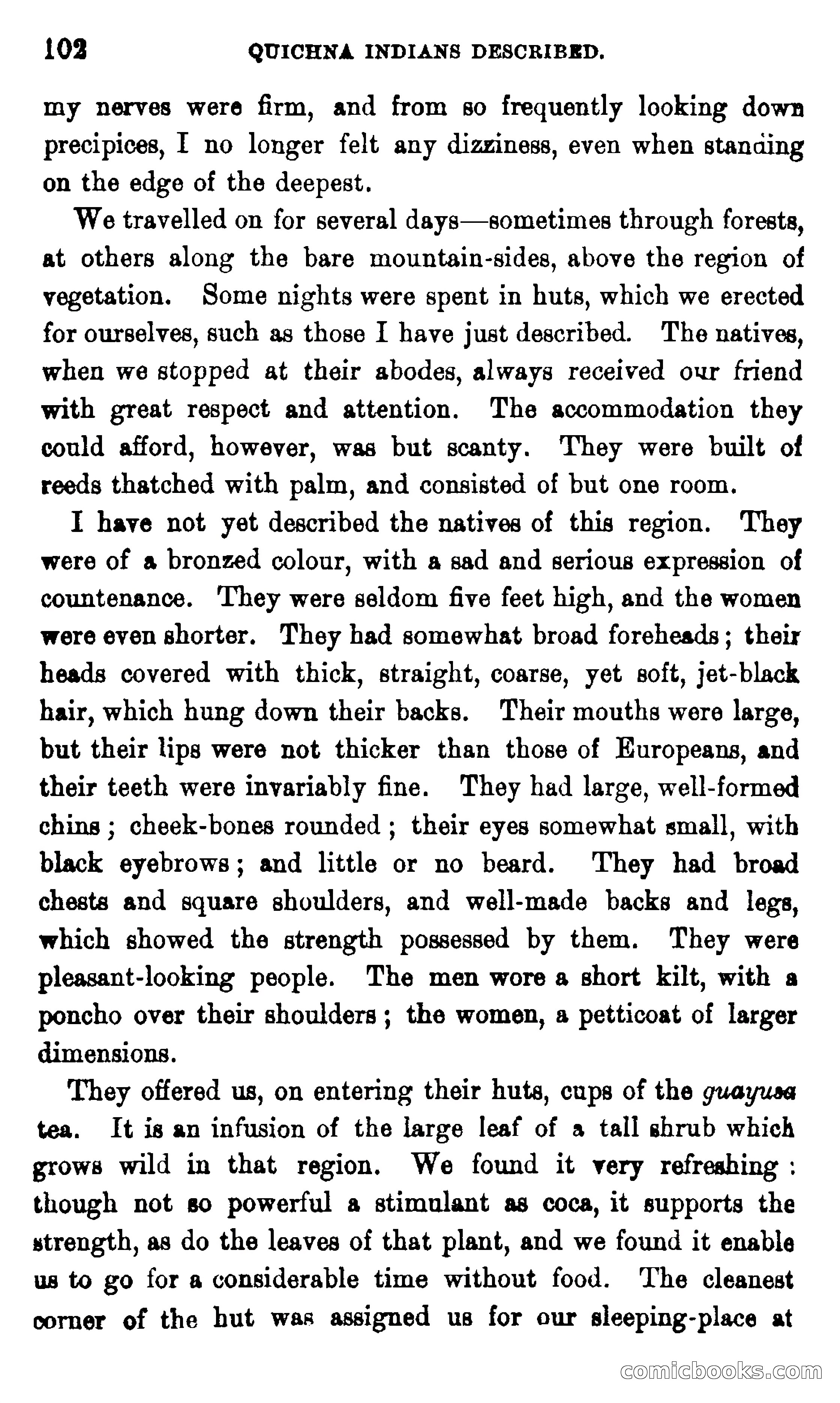 On the Banks of the Amazon — page 96 of 400