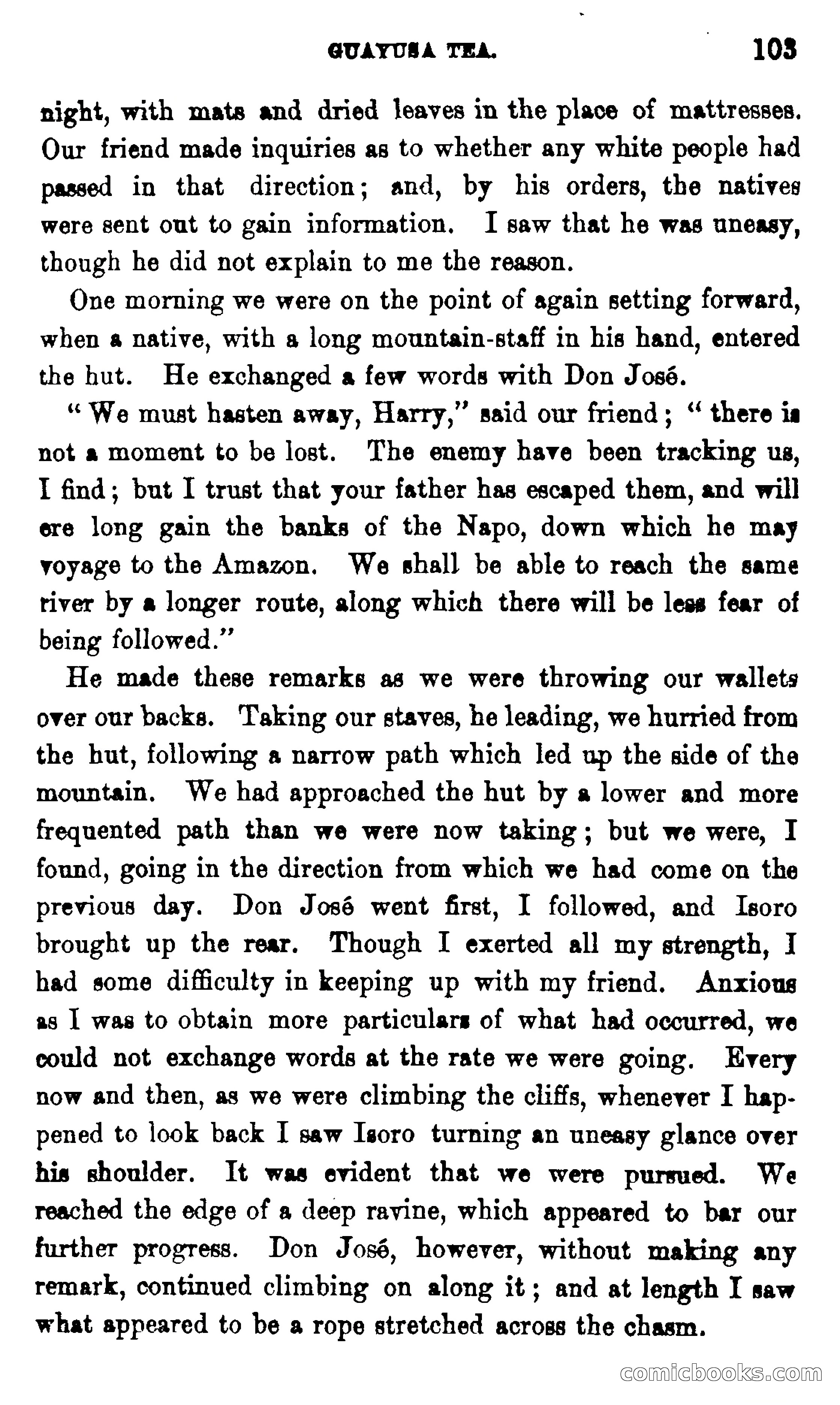 On the Banks of the Amazon — page 97 of 400