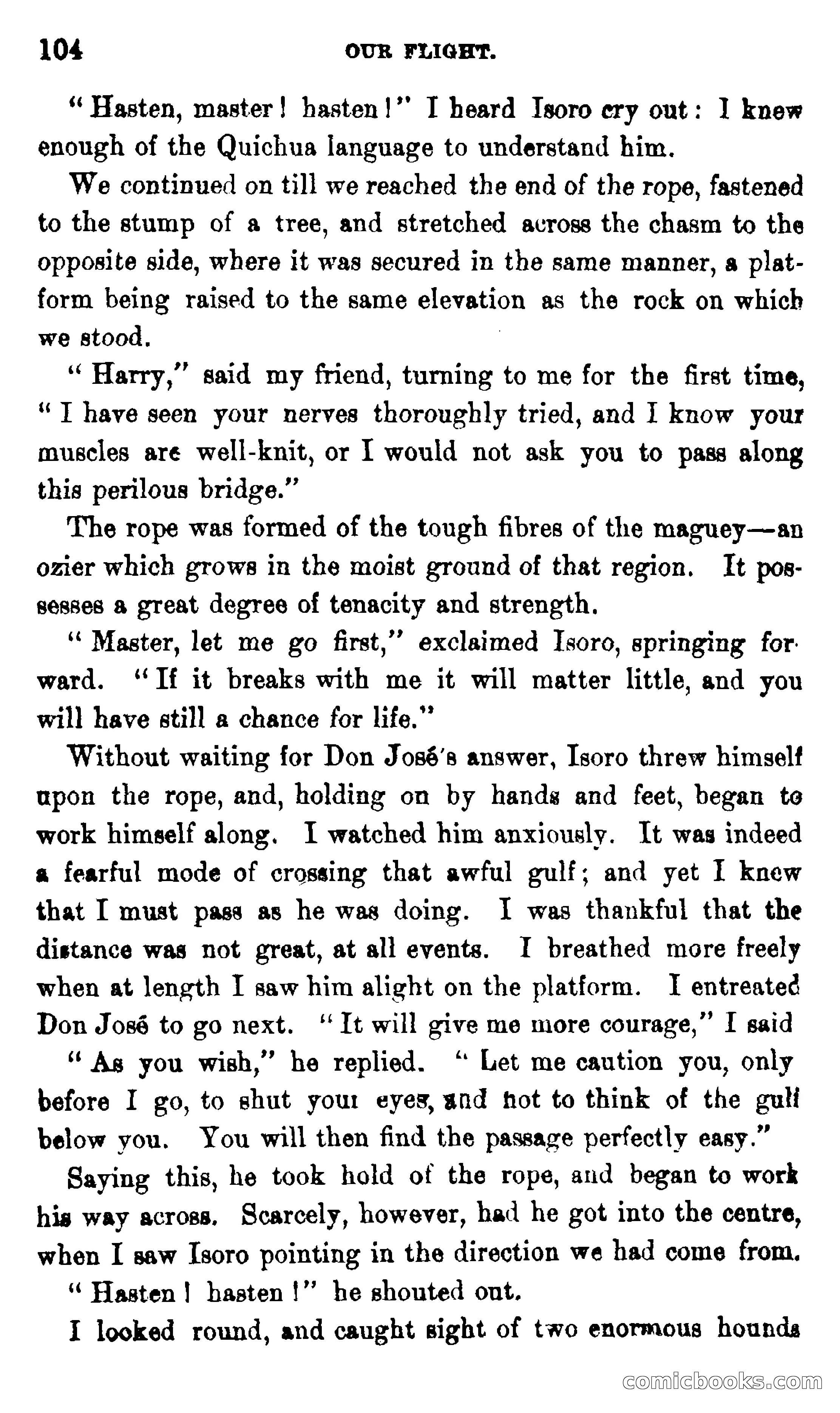 On the Banks of the Amazon — page 98 of 400