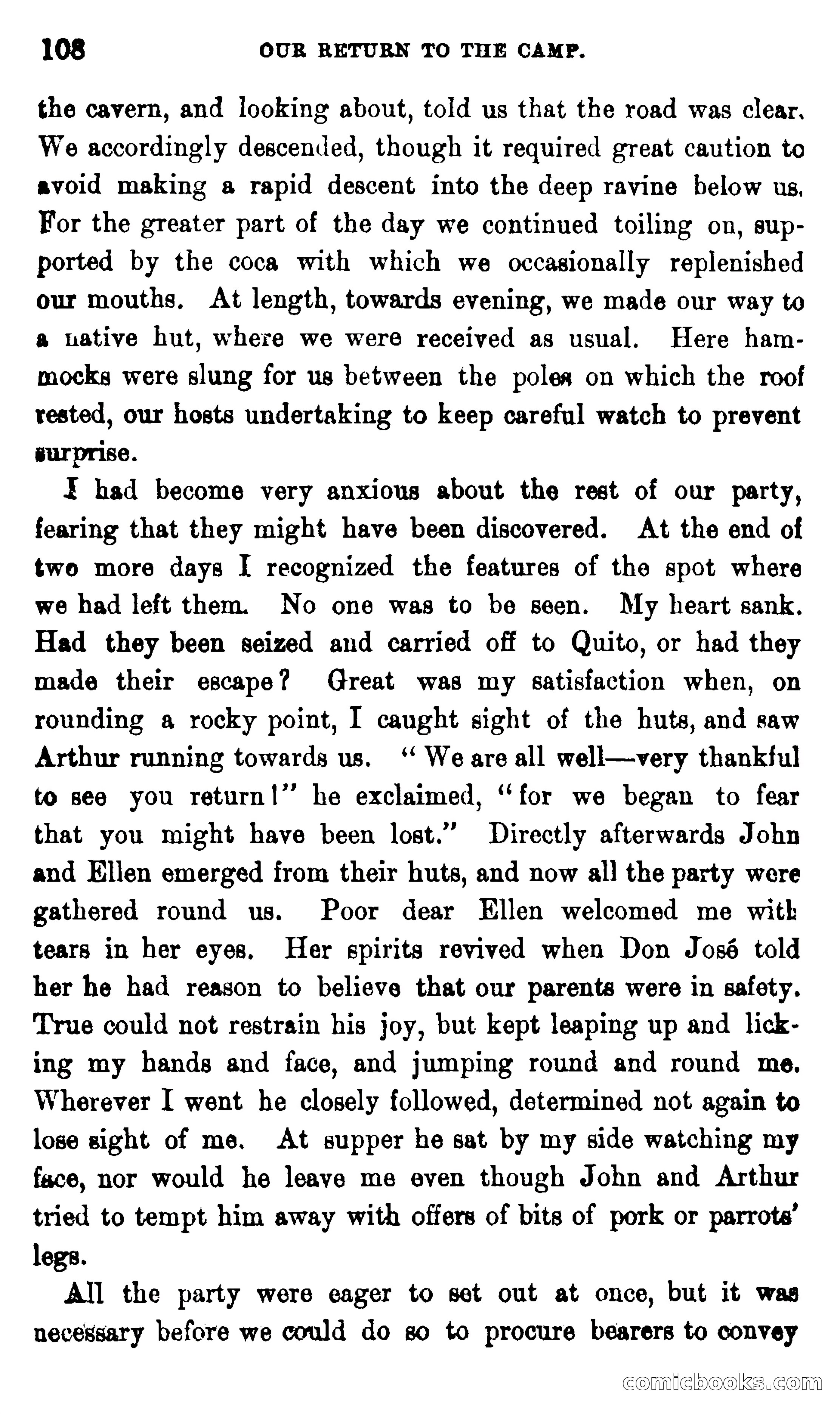 On the Banks of the Amazon — page 102 of 400