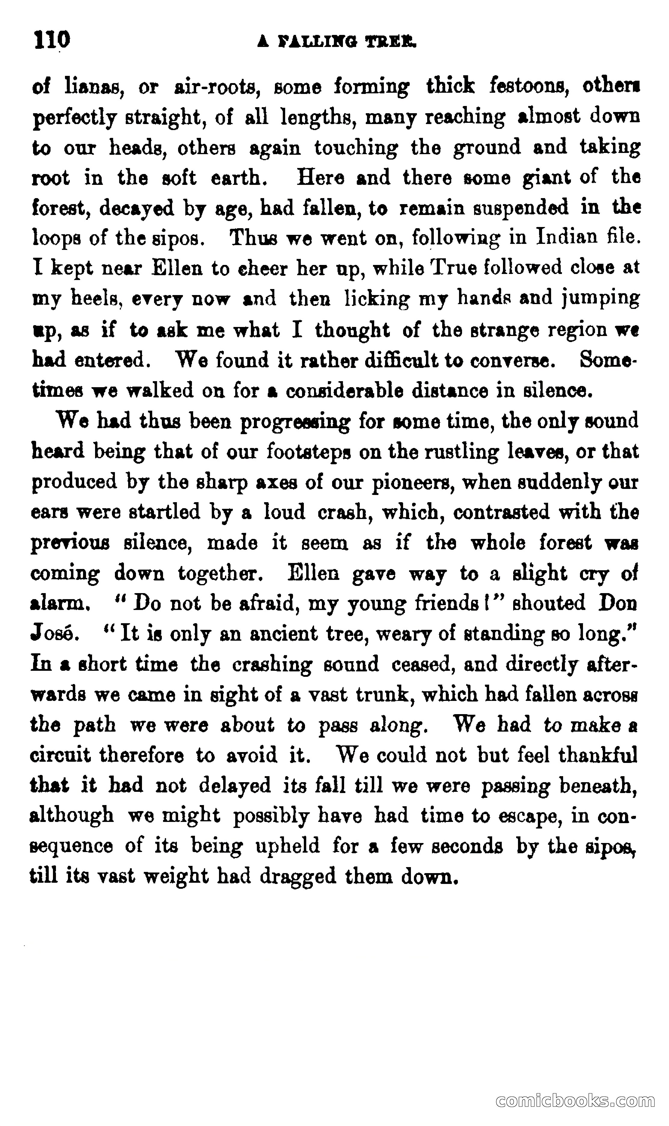 On the Banks of the Amazon — page 104 of 400