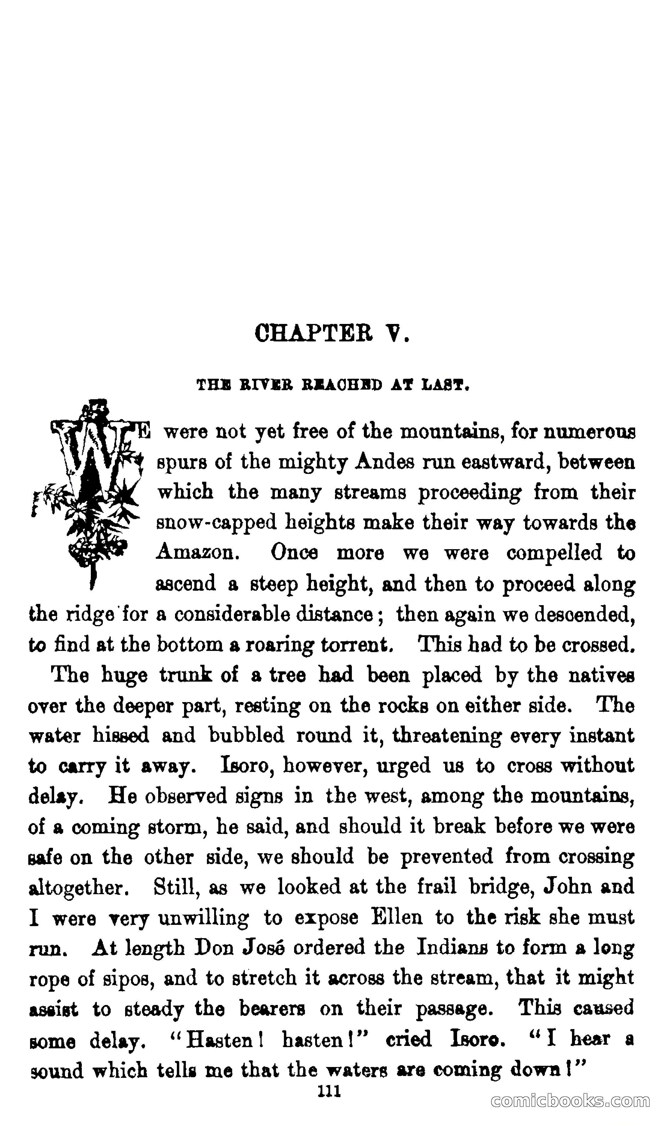 On the Banks of the Amazon — page 105 of 400