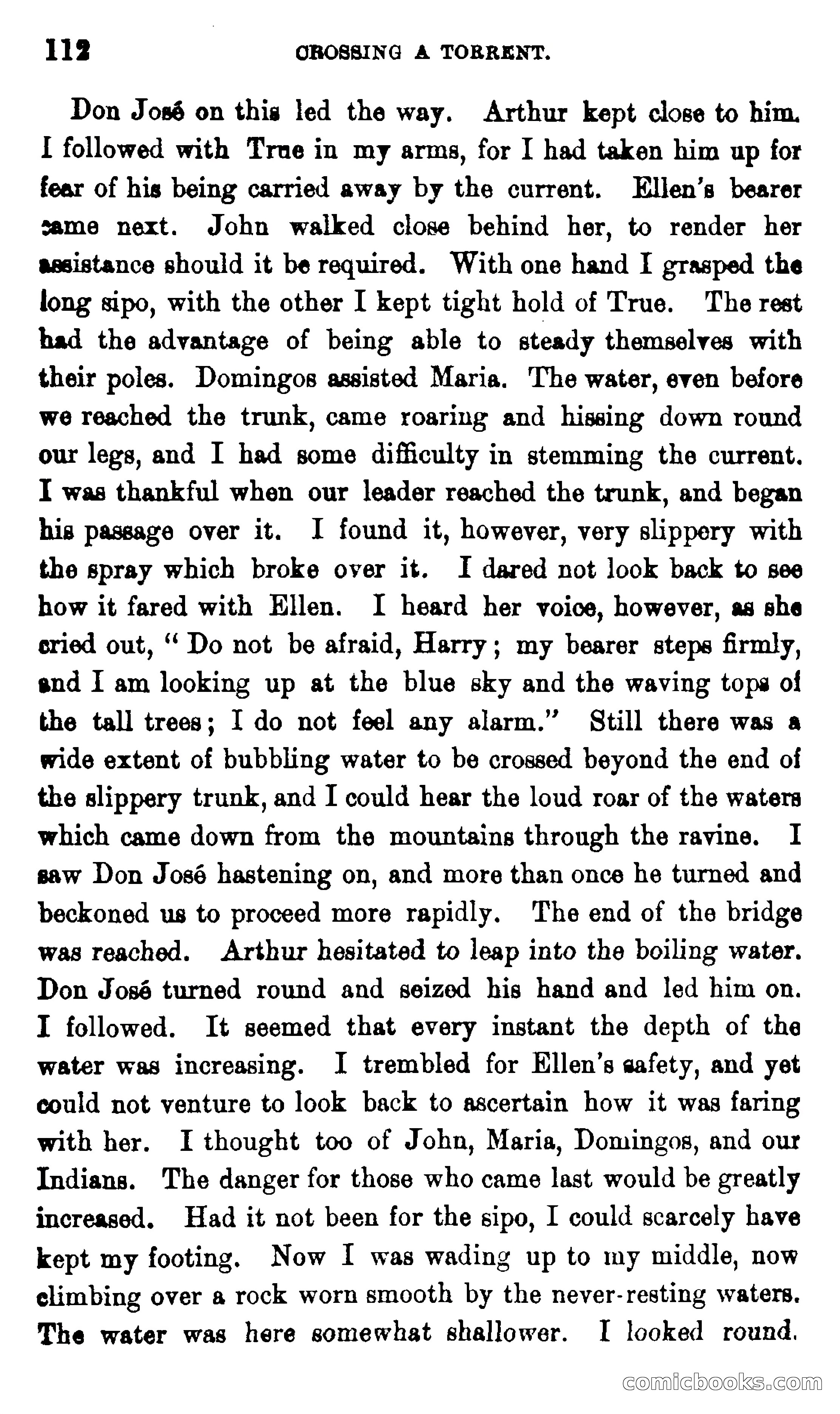 On the Banks of the Amazon — page 106 of 400