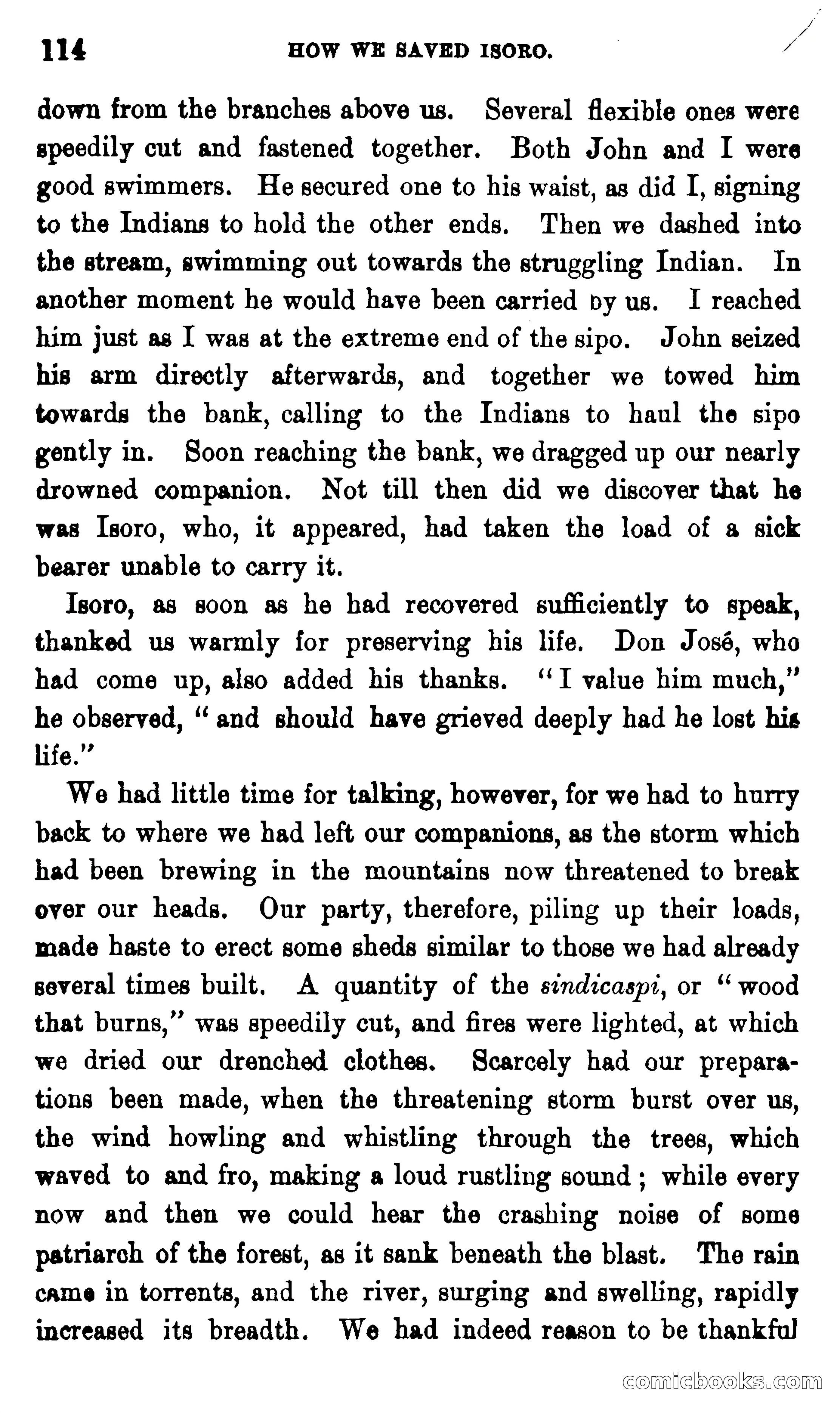 On the Banks of the Amazon — page 108 of 400