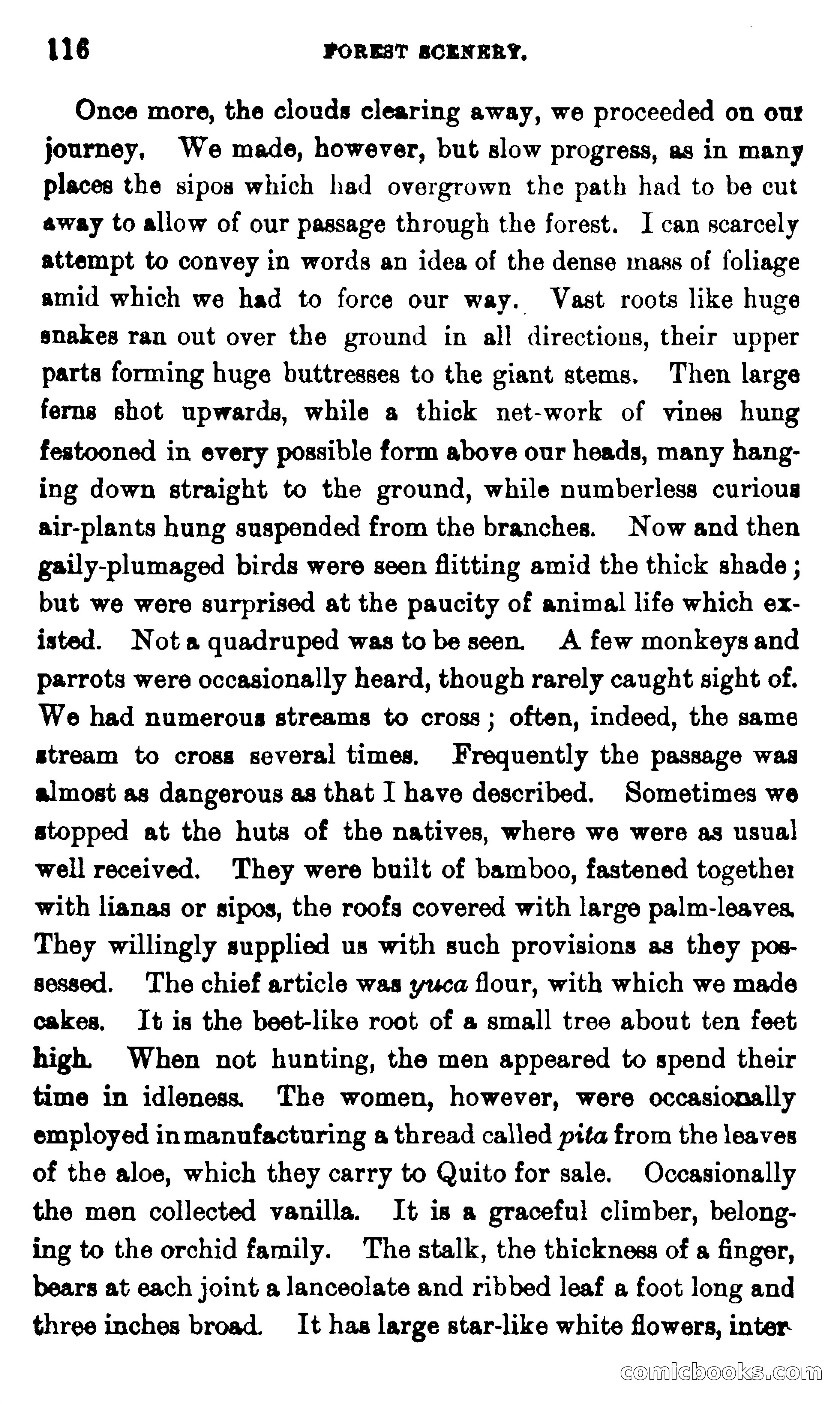 On the Banks of the Amazon — page 110 of 400