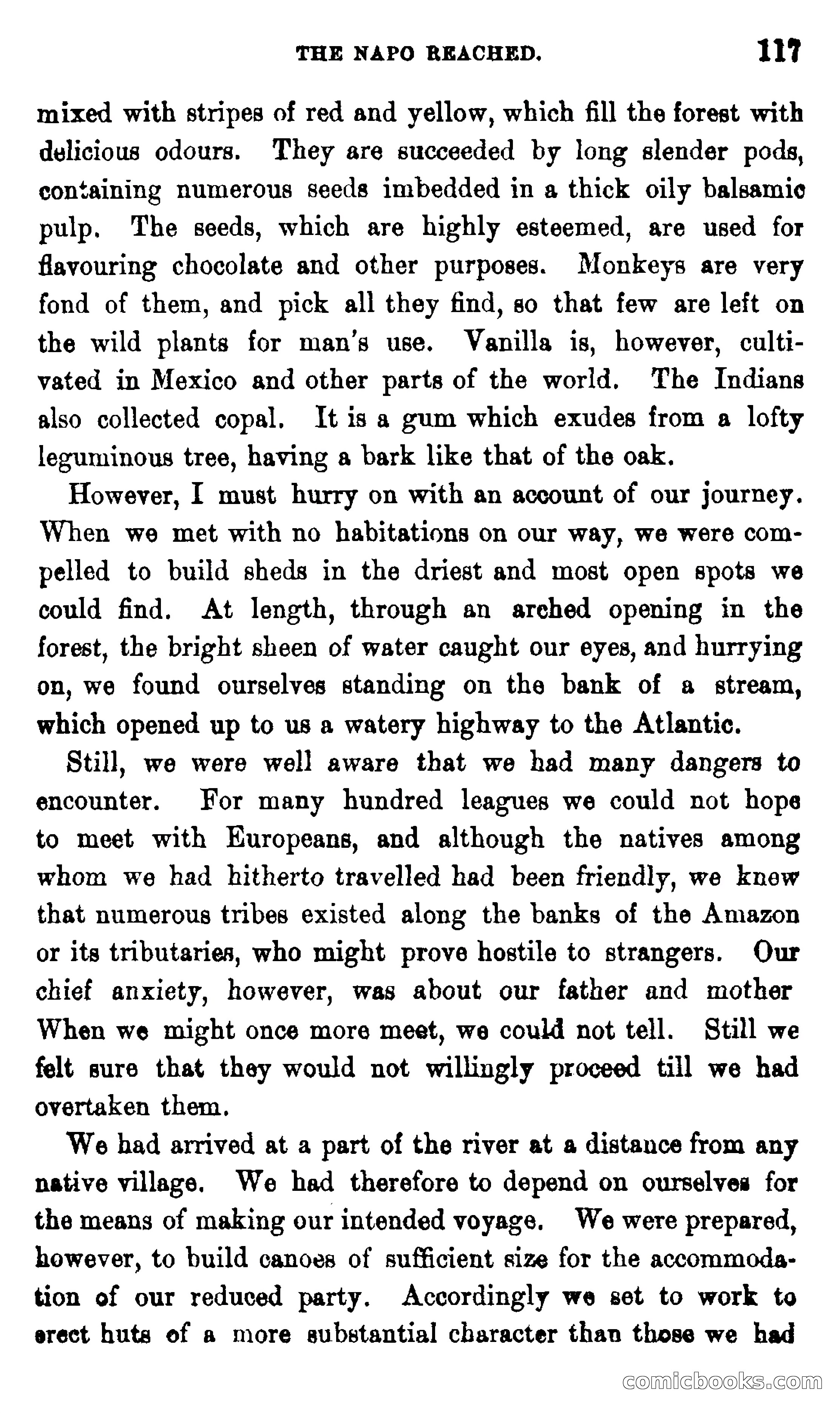 On the Banks of the Amazon — page 111 of 400