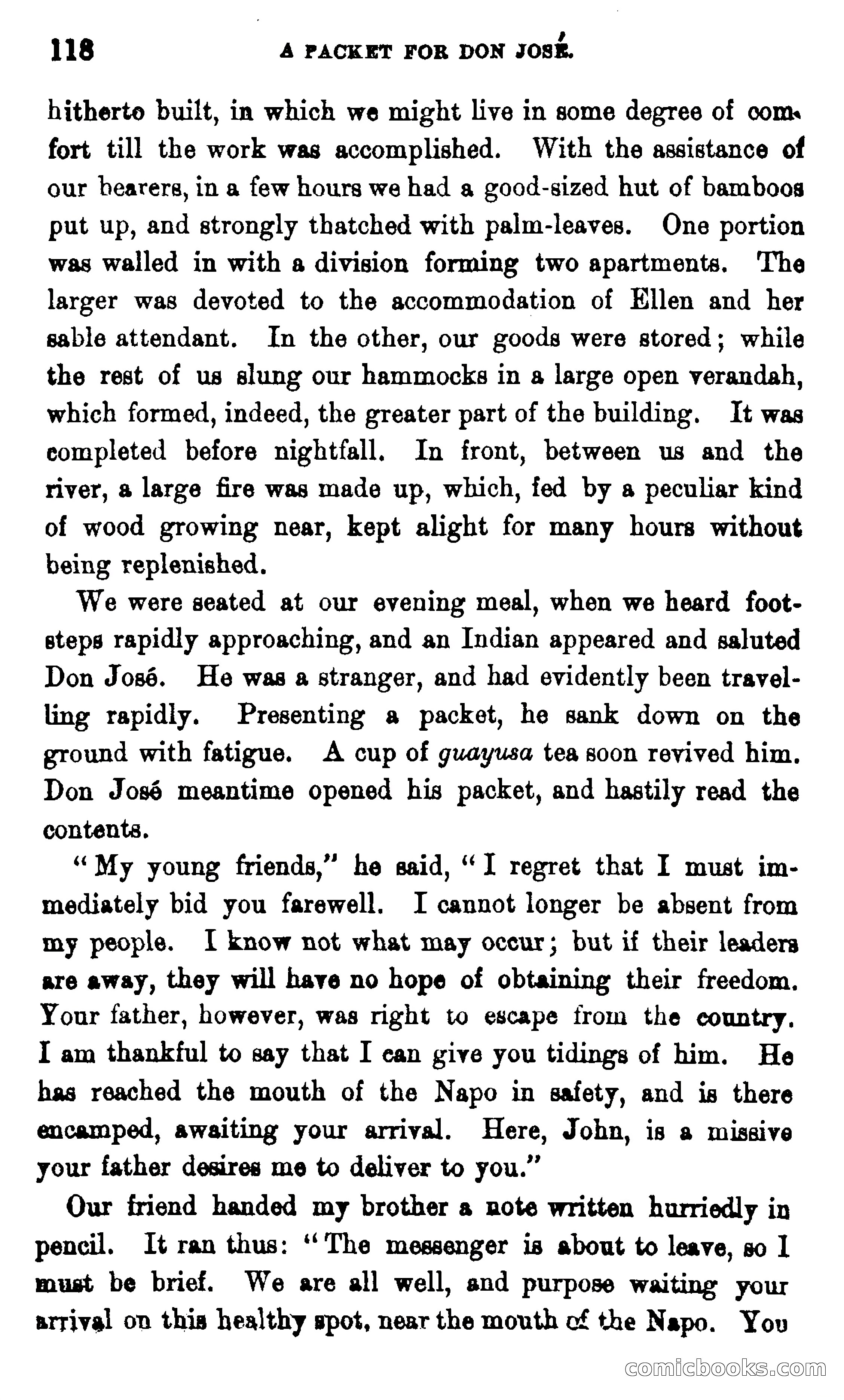 On the Banks of the Amazon — page 112 of 400