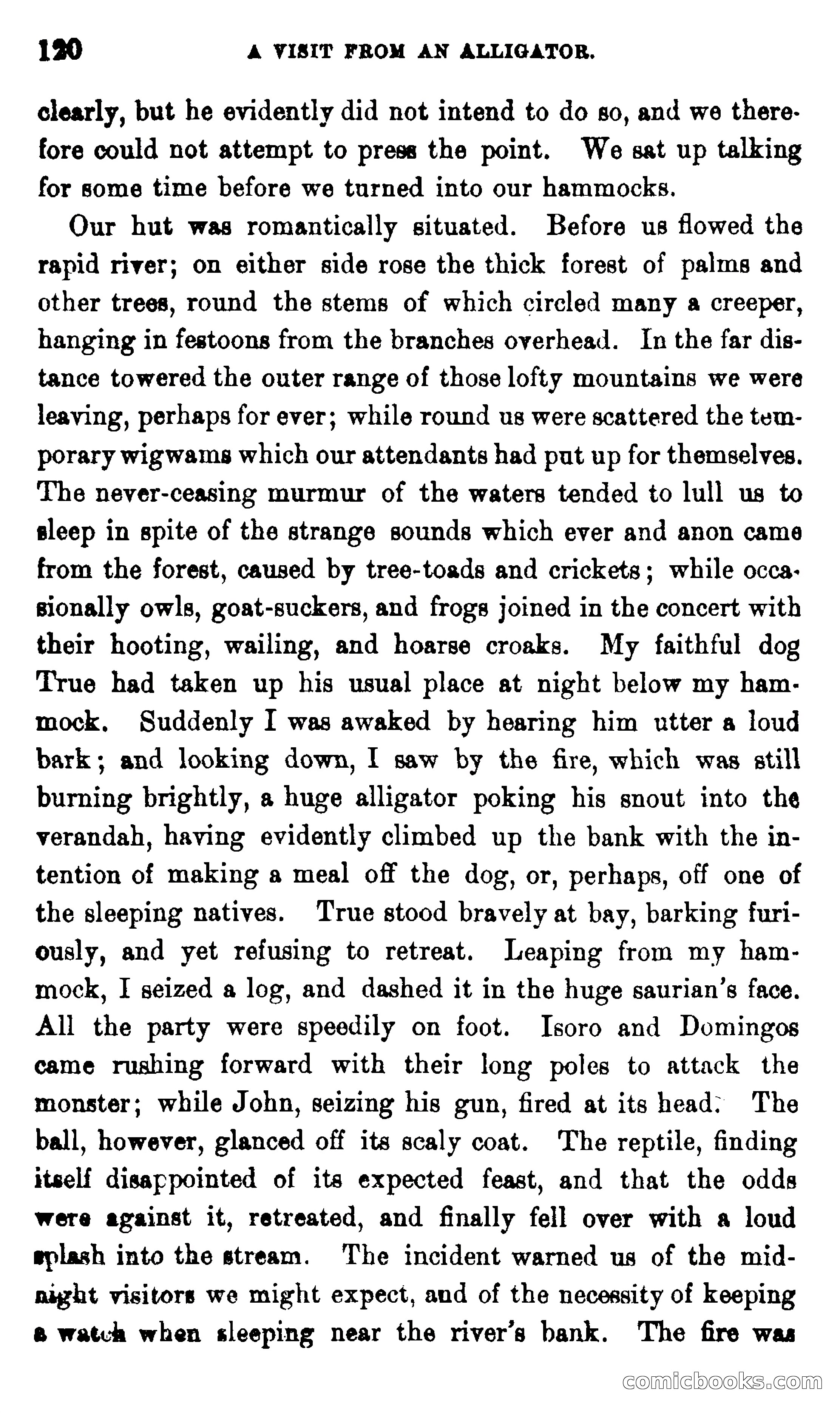 On the Banks of the Amazon — page 114 of 400