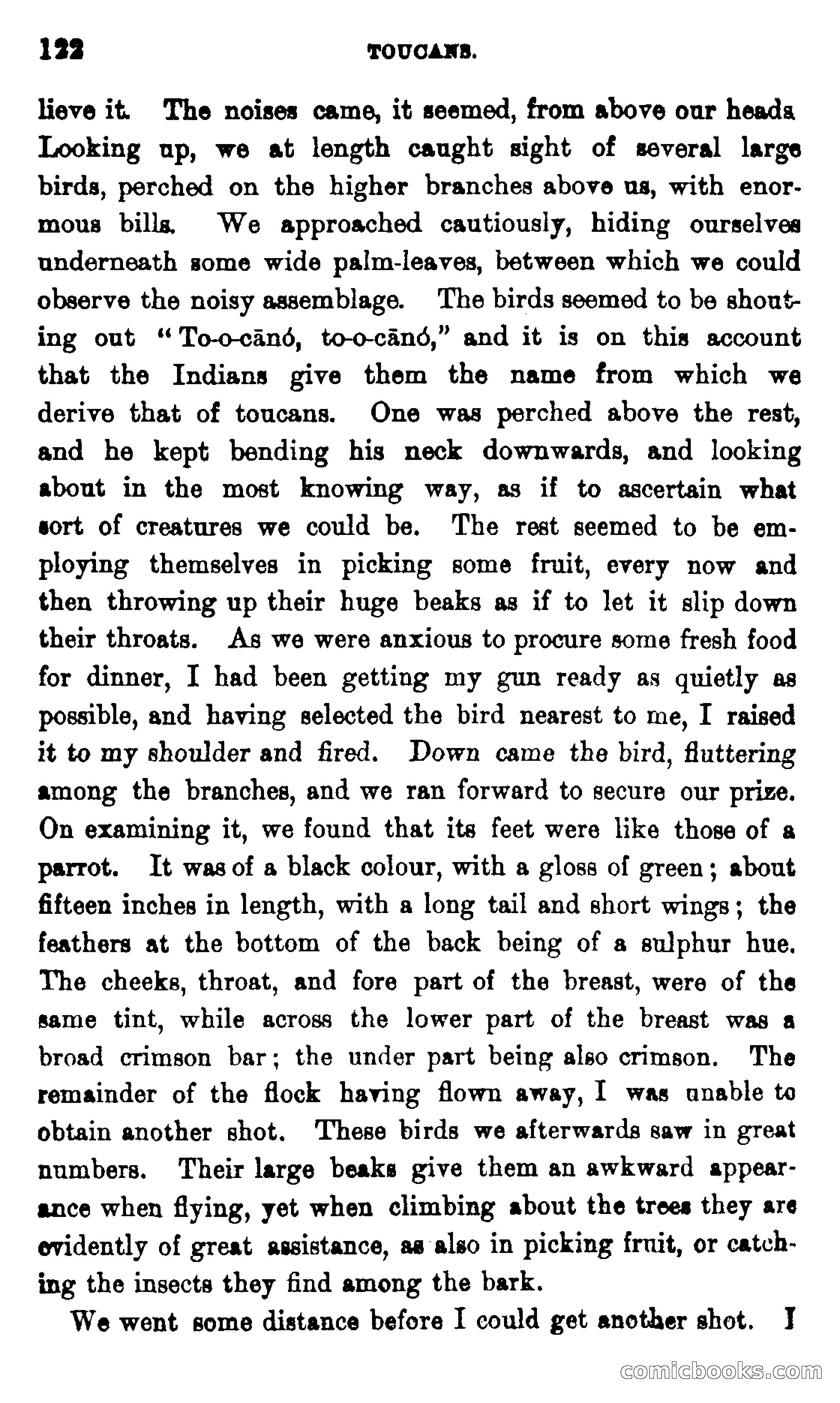 On the Banks of the Amazon — page 116 of 400
