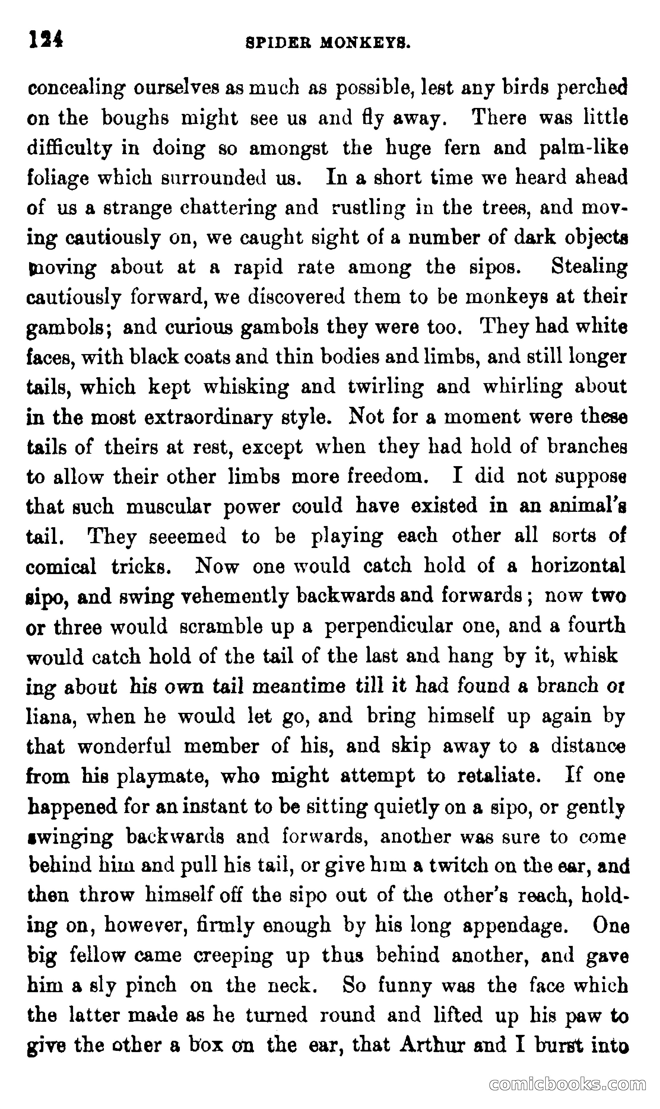 On the Banks of the Amazon — page 118 of 400