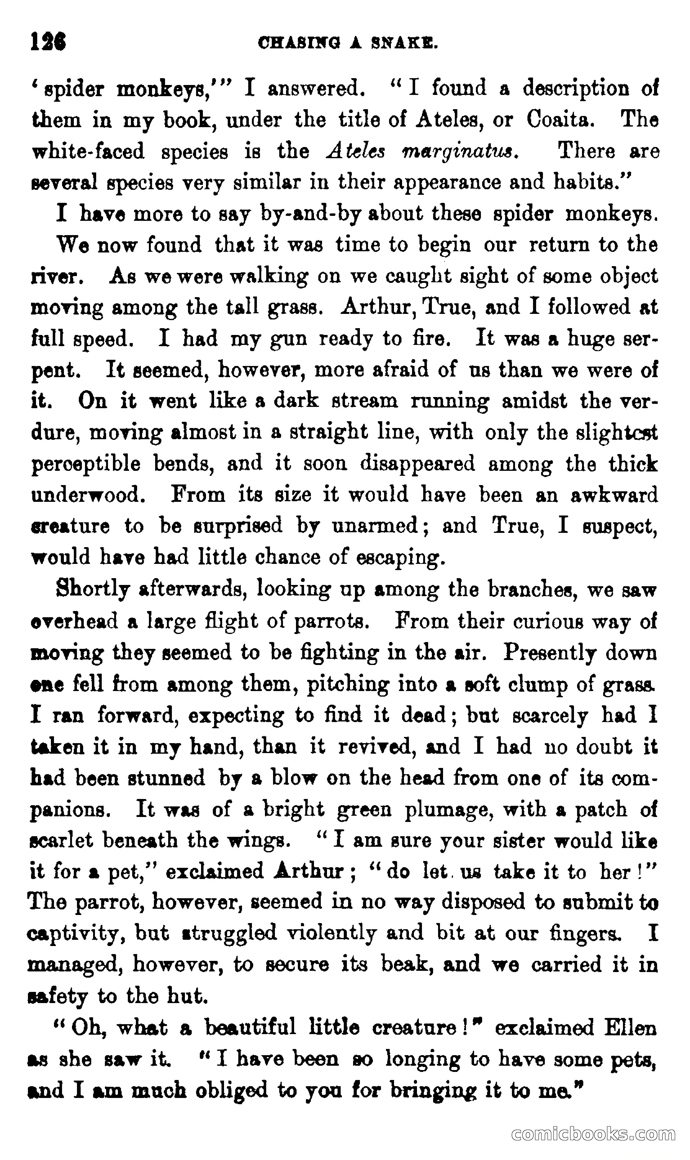 On the Banks of the Amazon — page 120 of 400