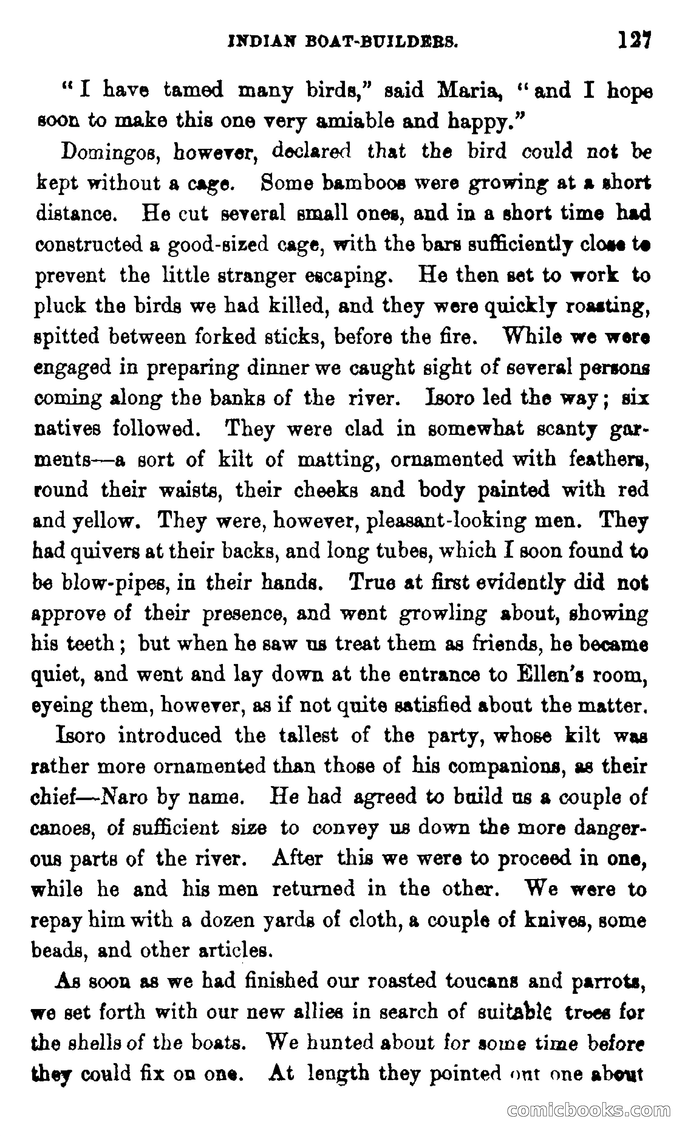 On the Banks of the Amazon — page 121 of 400