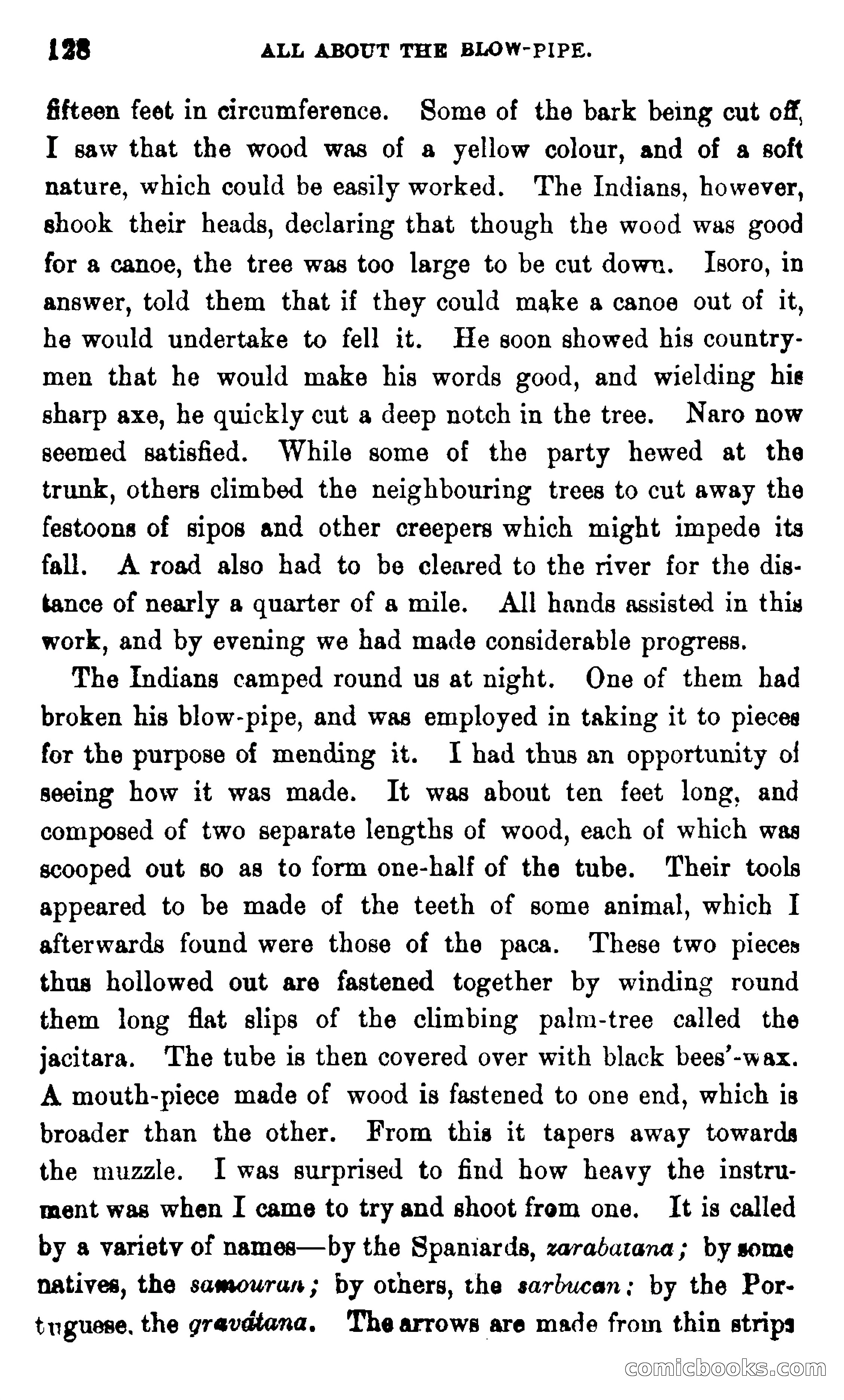On the Banks of the Amazon — page 122 of 400