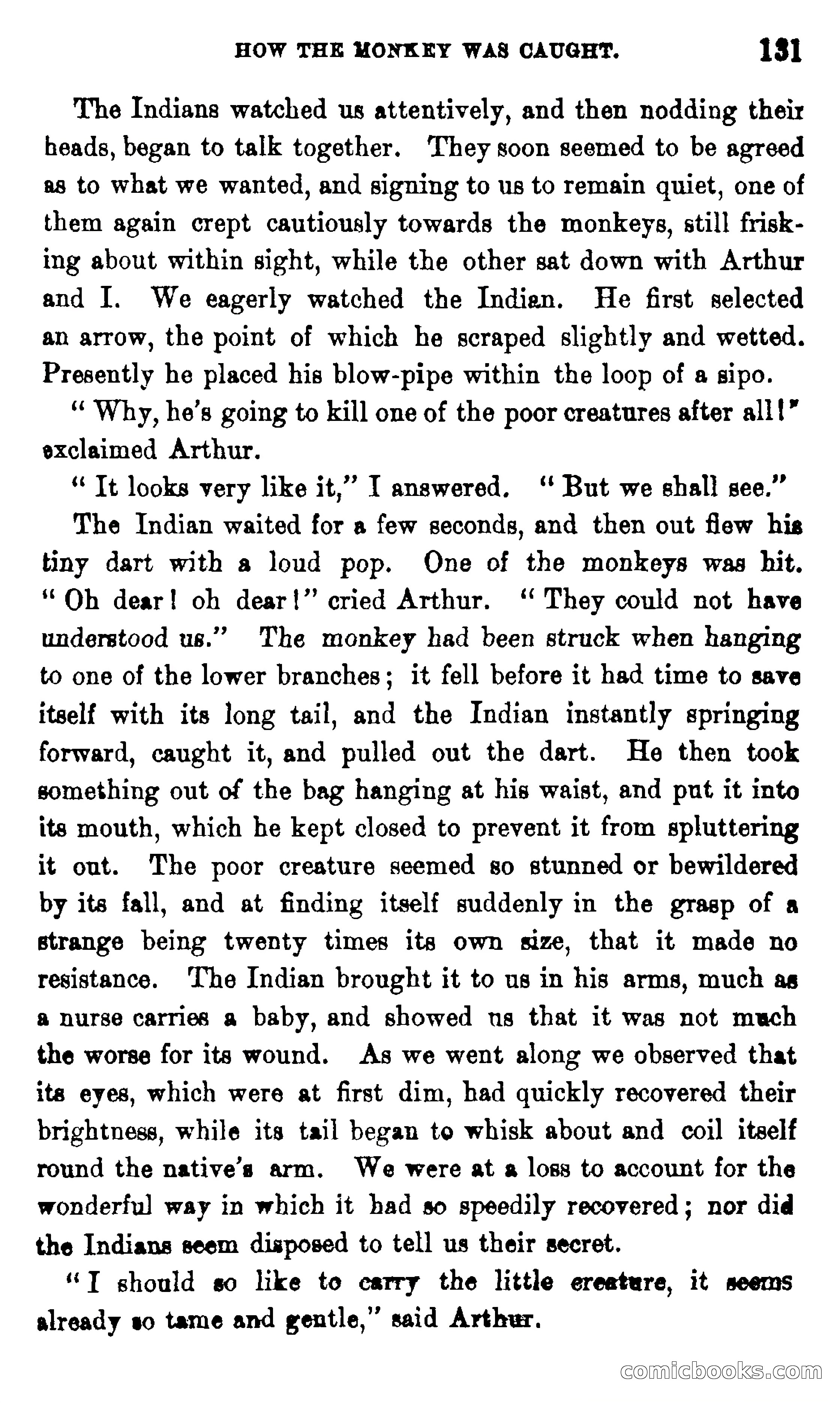 On the Banks of the Amazon — page 125 of 400