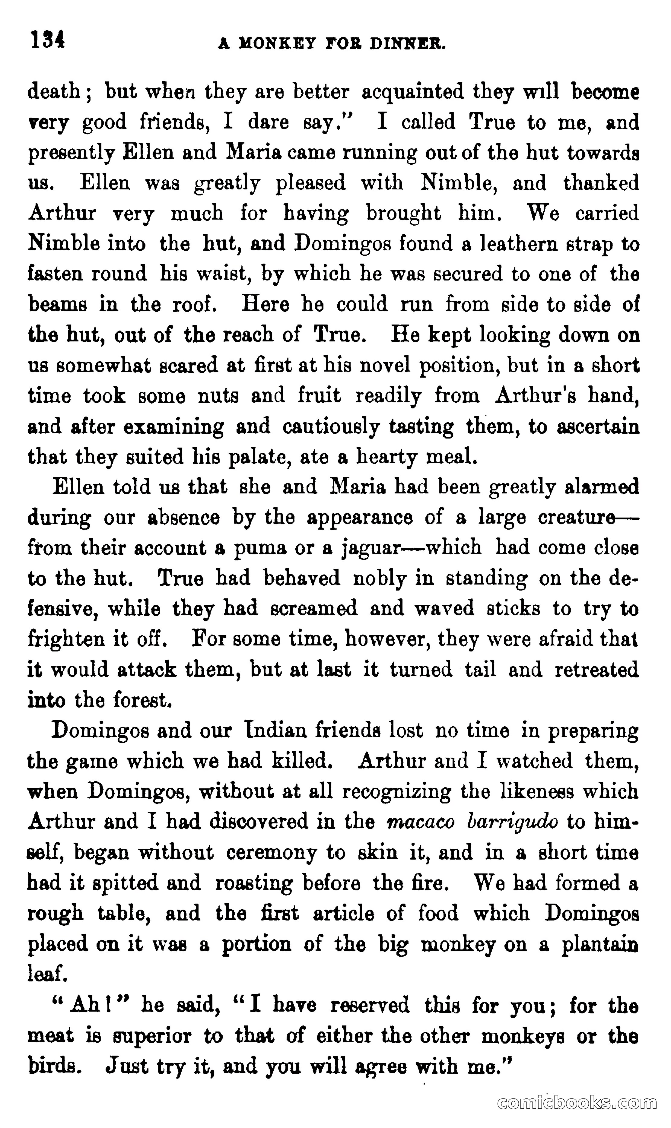 On the Banks of the Amazon — page 128 of 400