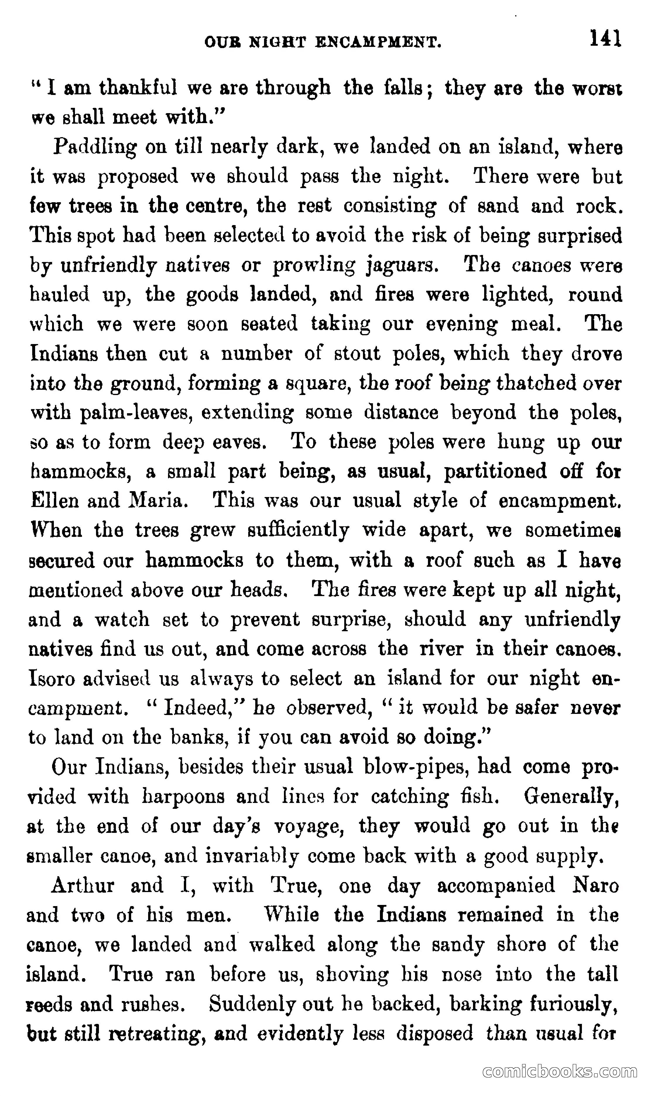 On the Banks of the Amazon — page 135 of 400