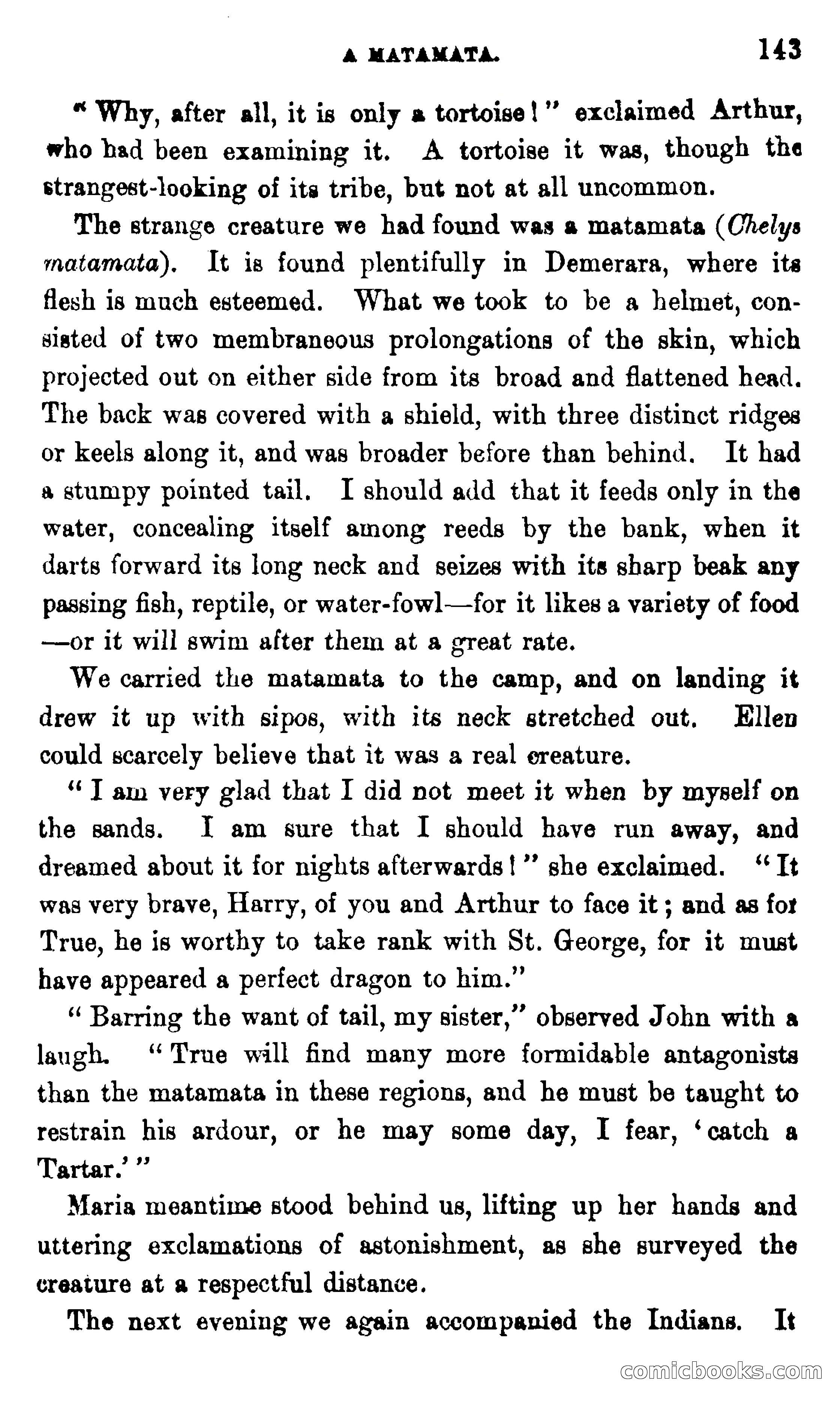 On the Banks of the Amazon — page 137 of 400