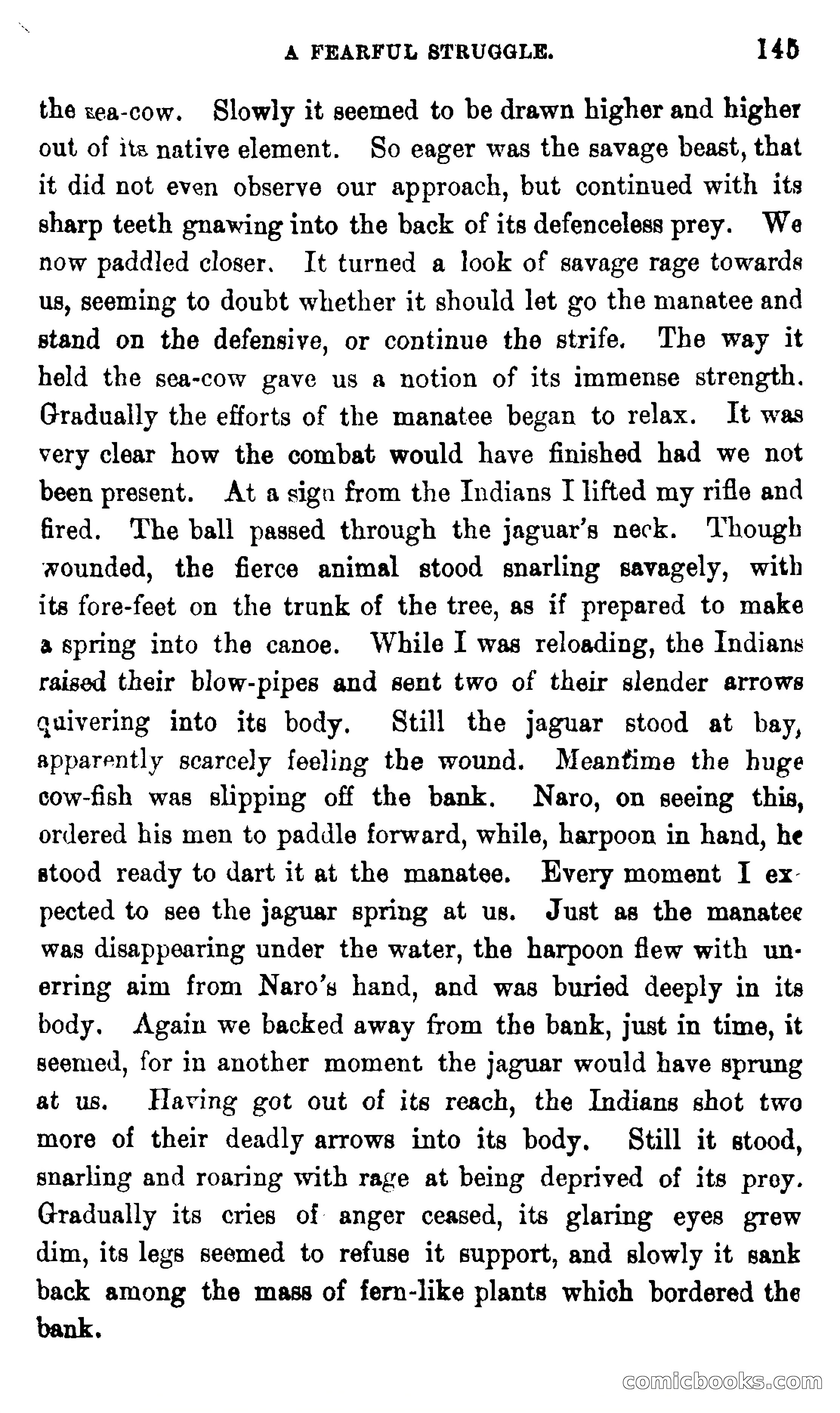 On the Banks of the Amazon — page 139 of 400
