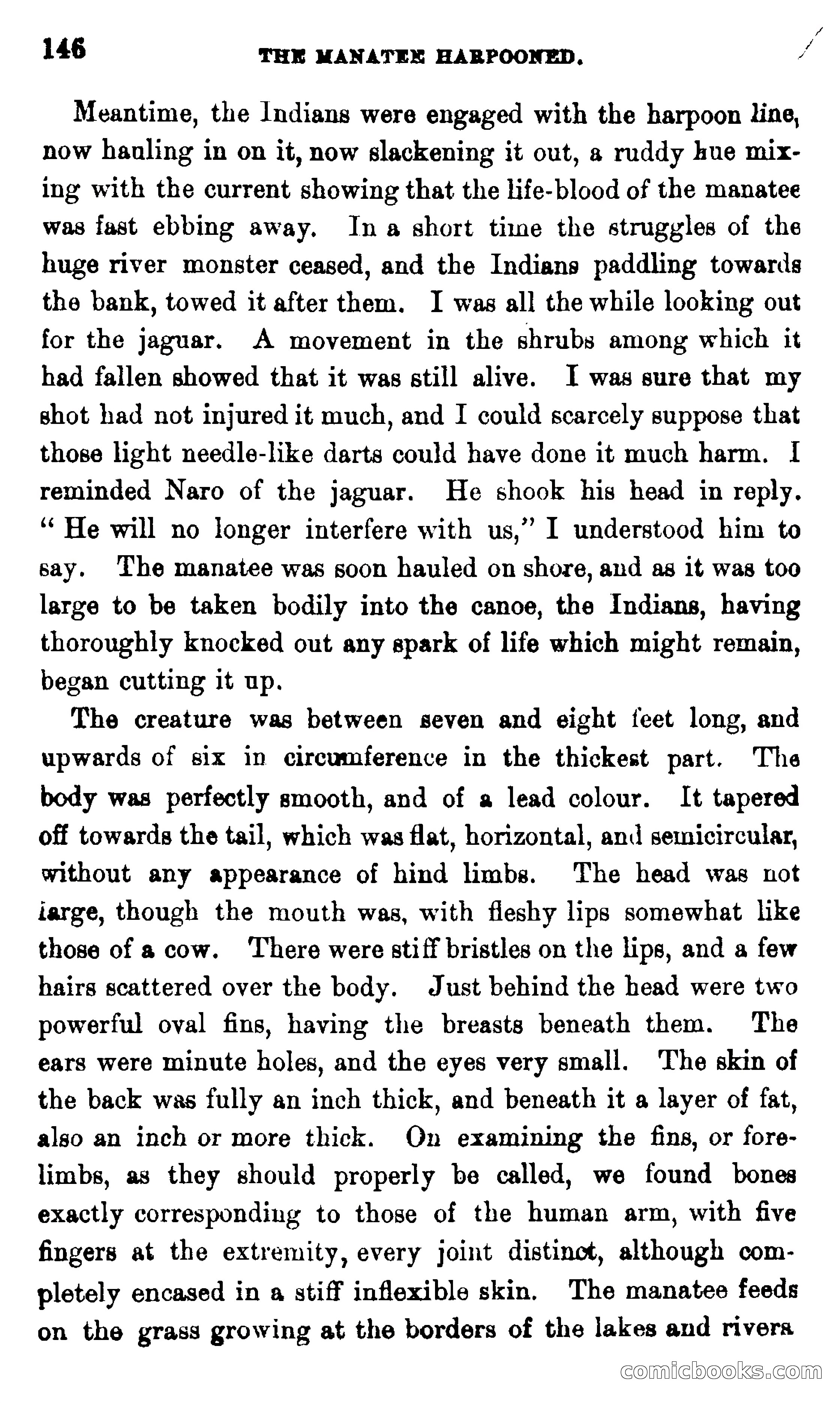 On the Banks of the Amazon — page 140 of 400