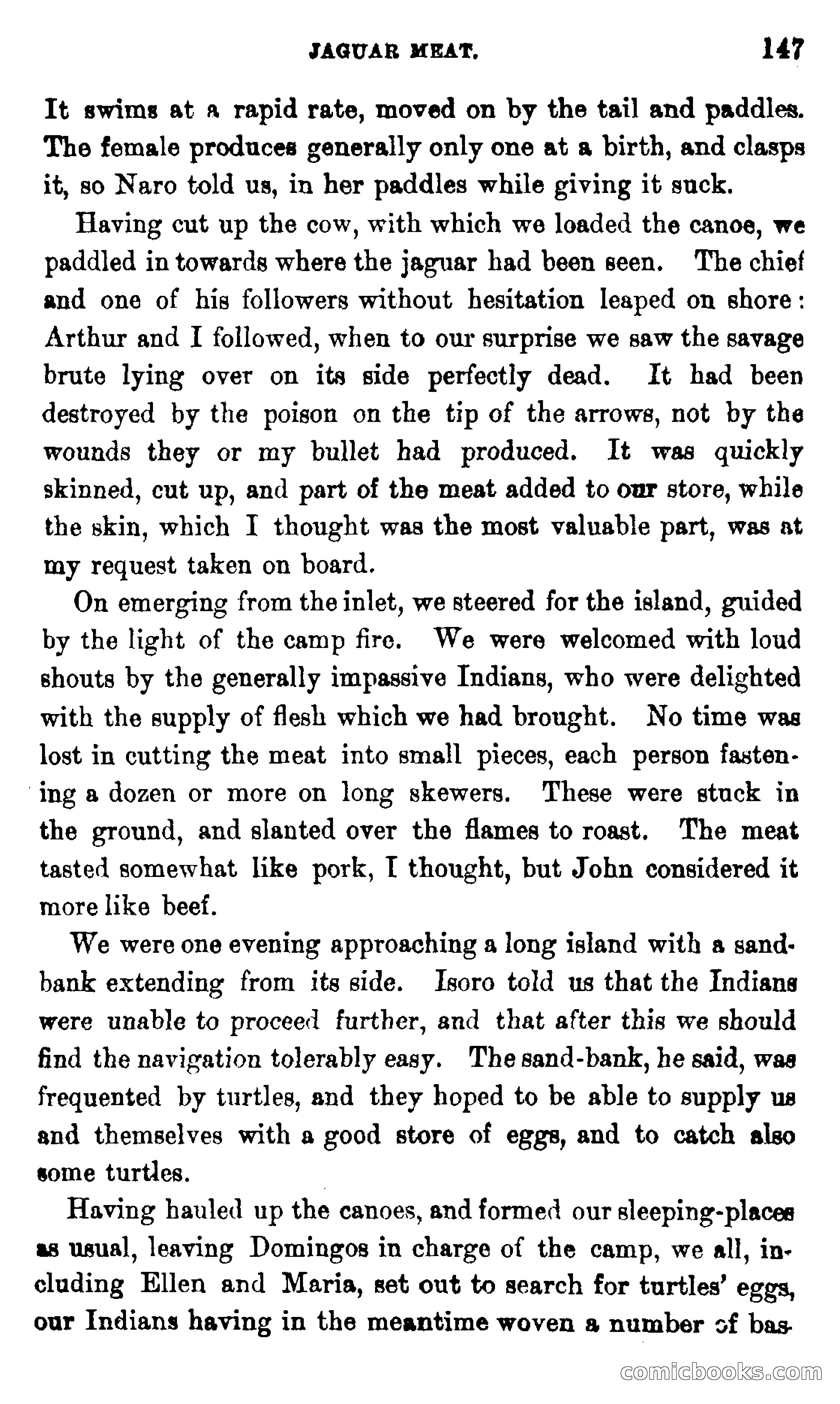On the Banks of the Amazon — page 141 of 400